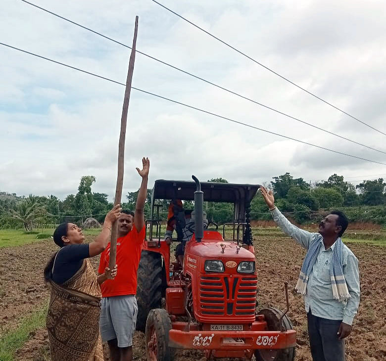 ಶ್ರೀರಂಗಪಟ್ಟಣ ತಾಲ್ಲೂಕಿನ ಚಿಕ್ಕಪಾಳ್ಯ ಗ್ರಾಮದ ಬಳಿ ಕೃಷಿ ಜಮೀನನ ಮೇಲೆ ಜೋಲಾಡುತ್ತಿರುವ ವಿದ್ಯುತ್‌ ತಂತಿಗಳು