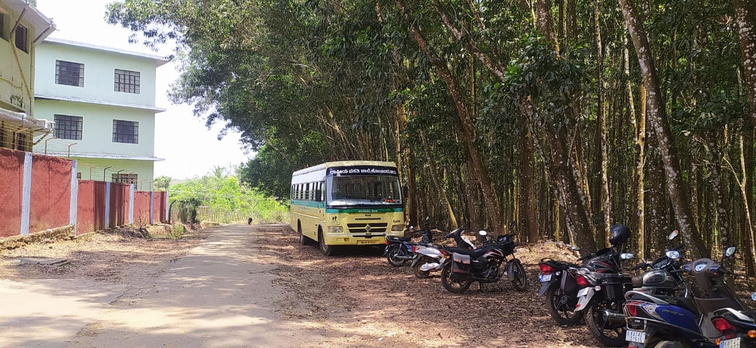 ಕೋಣಂದೂರಿನ ರಾಷ್ಟ್ರೀಯ ವಸತಿ ಶಾಲೆಗೆ ಚಾಚಿಕೊಂಡಿರುವ ಅಕೇಶಿಯಾ ಮರಗಳು