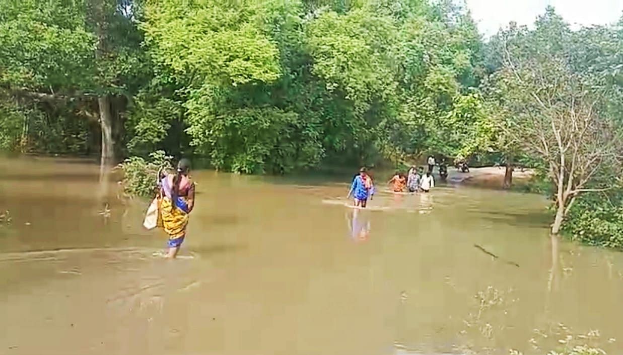 ಹಲಗೂರಿನಿಂದ ಮುತ್ತತ್ತಿಗೆ ತೆರಳುವ ಮಾರ್ಗ ಮಧ್ಯೆ ಇರುವ ಕೆಸರಕ್ಕಿ ಹಳ್ಳ ಕಾವೇರಿ ನದಿಯ ಹಿನ್ನೀರಿನಿಂದ ಜಲಾವೃತವಾಗಿದ್ದು, ಸಾರ್ವಜನಿಕರು ಆತಂಕದಿಂದ ಸೇತುವೆ ದಾಟುತ್ತಿರುವ ದೃಶ್ಯ.