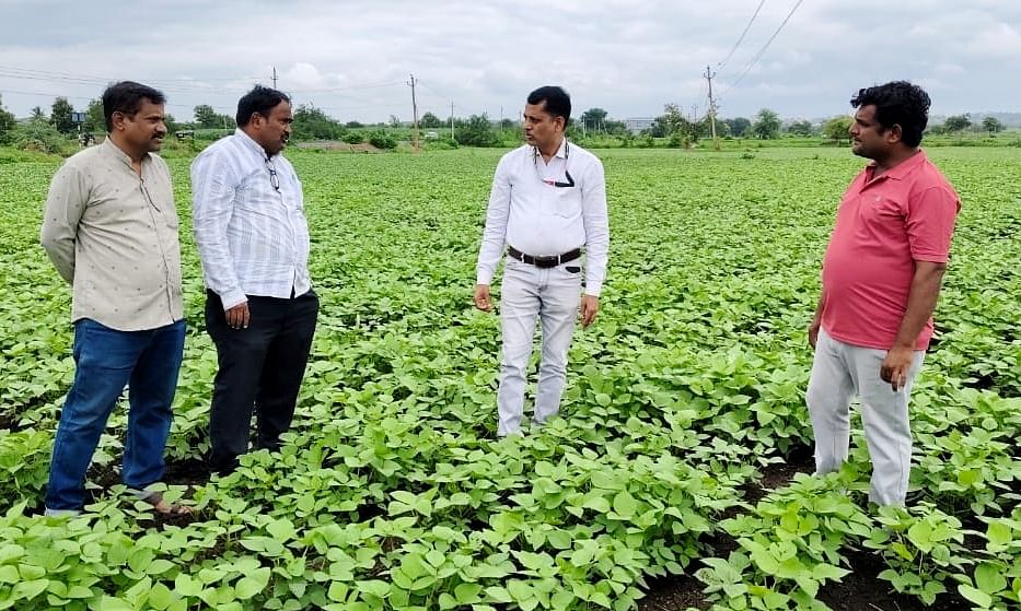 ಬೀದರ್ ತಾಲ್ಲೂಕಿನ ಮರಕಲ್ ಗ್ರಾಮದ ರೈತರ ಹೊಲವೊಂದರಲ್ಲಿ ಕೃಷಿ ಇಲಾಖೆ ಅಧಿಕಾರಿಗಳು ಬೆಳೆ ಪರಿಶೀಲನೆ ನಡೆಸಿದರು