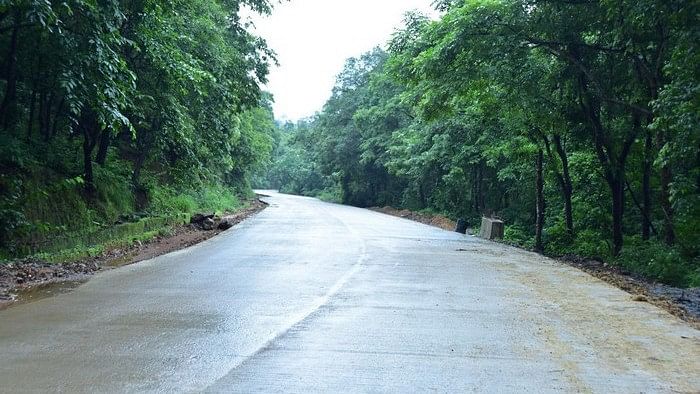 ಶಿರಾಡಿ ಘಾಟ್‌ (ಸಂಗ್ರಹ ಚಿತ್ರ) 