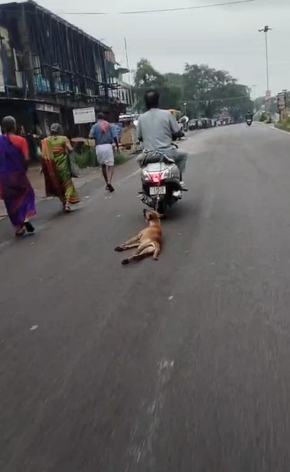 ನಾಯಿಯನ್ನು ವಾಹನಕ್ಕೆ ಕಟ್ಟಿ ಎಳೆದೊಯ್ಯುತ್ತಿರುವುದು