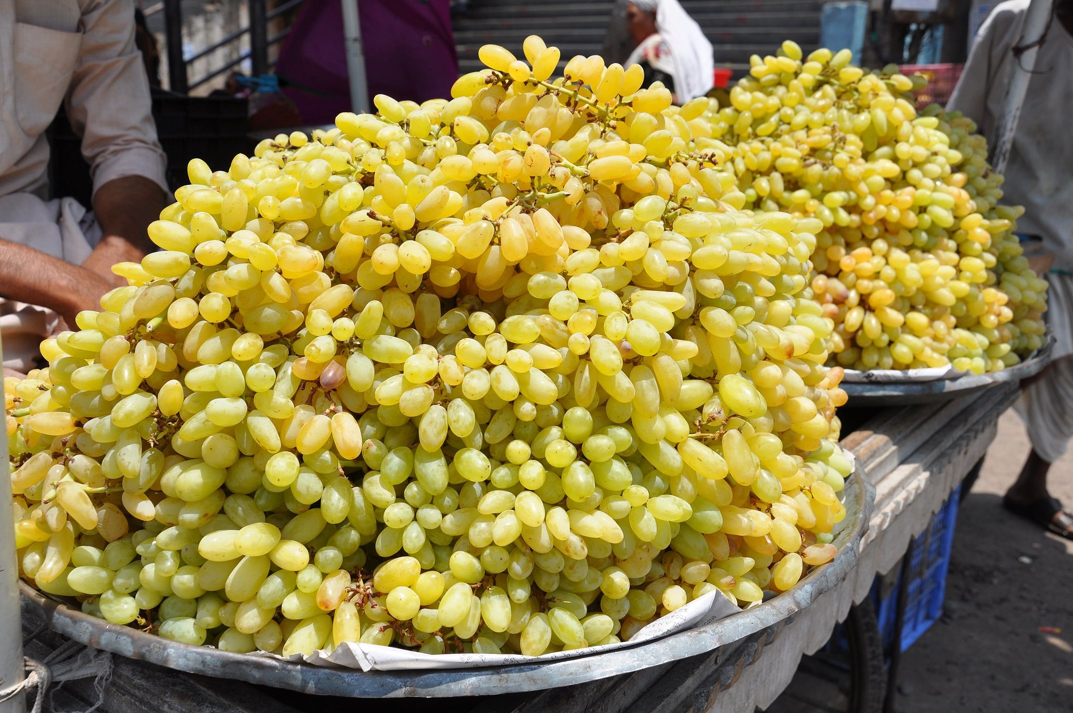 ದ್ರಾಕ್ಷಿ