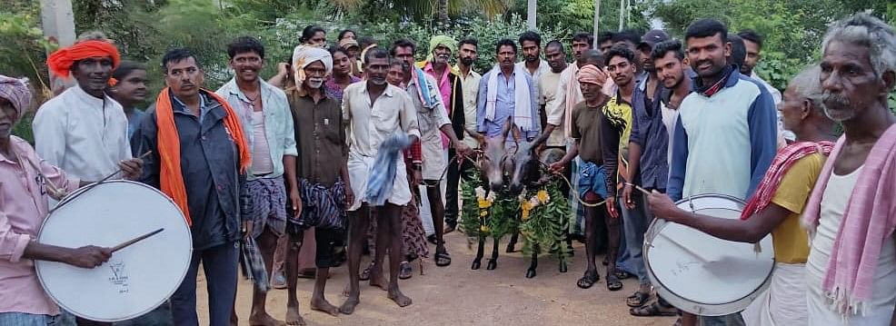 ಚಳ್ಳಕೆರೆ : ಮಳೆಗಾಗಿ ಪ್ರಾರ್ಥಿಸಿ ತಾಲ್ಲೂಕಿನ ಗಡಿ ಗ್ರಾಮ ಕಾಲುವೆಹಳ್ಳಿ ಗ್ರಾಮ ಪಂಚಾಯಿತಿ ವ್ಯಾಪ್ತಿ ಗೌಡರಹಟ್ಟಿ ಗ್ರಾಮಸ್ಥರು ಶನಿವಾರ ಕತ್ತೆಗಳಿಗೆ ವಿಶೇಷ ಪೂಜೆ ಸಲ್ಲಿಸುವ ಮೂಲಕ ಗ್ರಾಮದ ಪ್ರಮುಖ ಬೀದಿಯಲ್ಲಿ ತಮಟೆ ವಾದ್ಯದೊಂದಿಗೆ ಮೆರವಣಿಗೆ ನಡೆಸಿದರು.