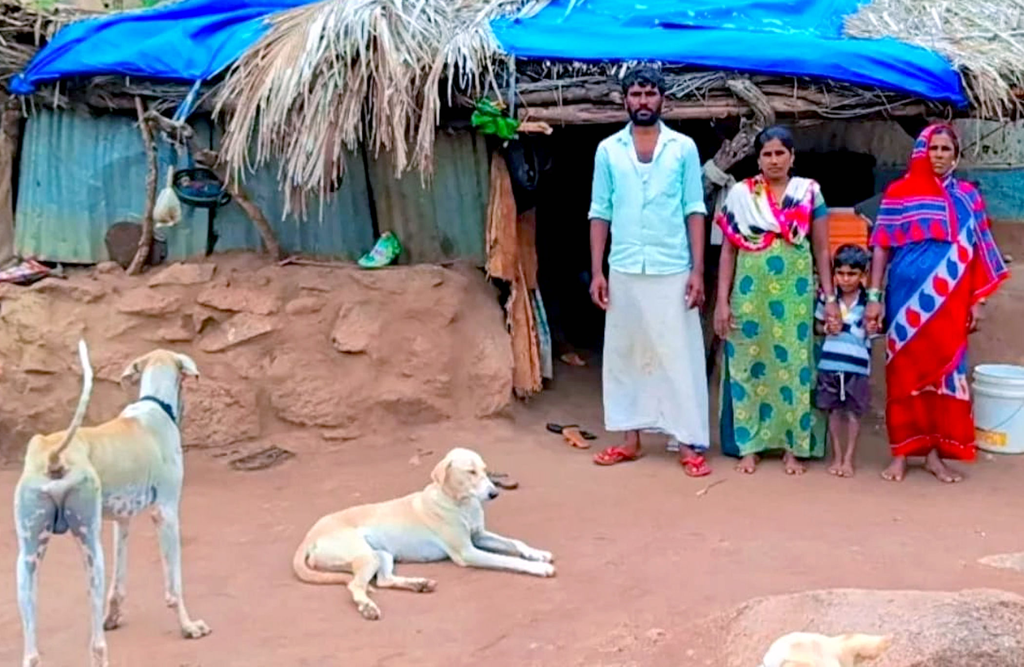 ಲಿಂಗಸುಗೂರು ತಾಲ್ಲೂಕಿನ ಕೃಷ್ಣಾ ನದಿಯ ಕರಡಕಲಗಡ್ಡಿಯಲ್ಲಿ ಬದುಕು ಕಟ್ಟಿಕೊಂಡ ಕುಟುಂಬ