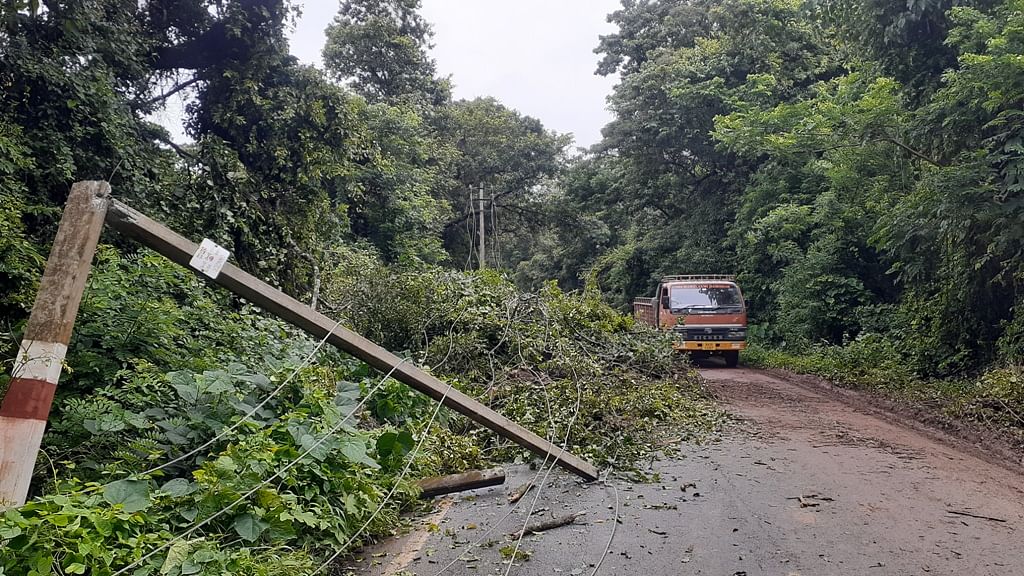 ಸೊರಬ ಸಾಗರ ಮುಖ್ಯರಸ್ತೆಯಲ್ಲಿರುವ ಹಾಲಗಳಲೆ ಗ್ರಾಮದಲ್ಲಿ ಗಾಳಿ ಮಳೆಯಿಂದ ಮರ ಹಾಗೂ ವಿದ್ಯುತ್ ಕಂಬಗಳು ಧರೆಗುರುಳಿರುವುದು