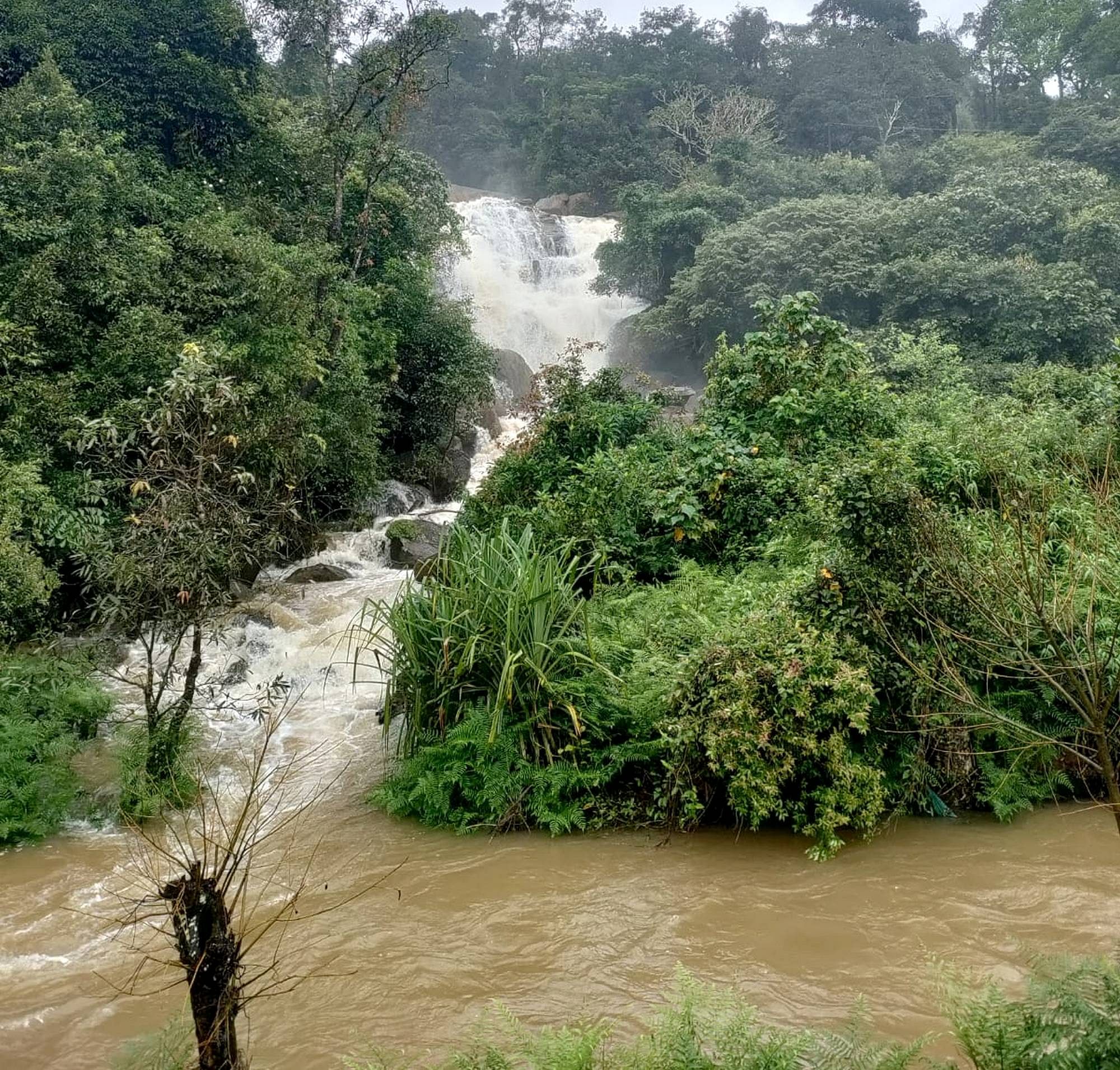 ಸೋಮವಾರಪೇಟೆ ಸಮೀಪದ ಅಭಿಮಠ ಬಾಚಳ್ಳಿಯಲ್ಲಿನ ಅಬ್ಬಿ ಜಲಪಾತ