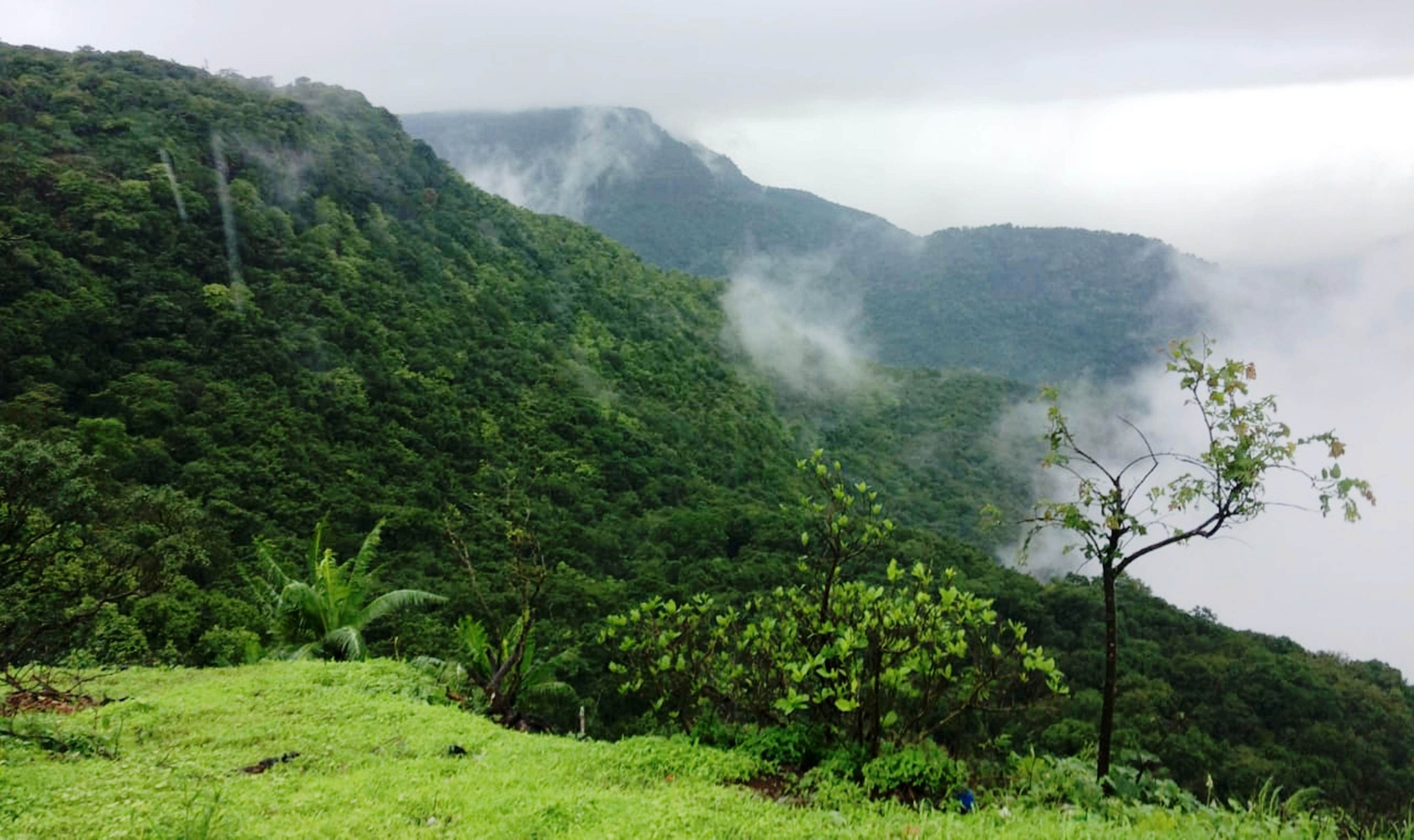 ಖಾನಾಪುರ ತಾಲ್ಲೂಕಿನ ಚಿಗಳೆ ಅರಣ್ಯದ ಸೊಬಗು