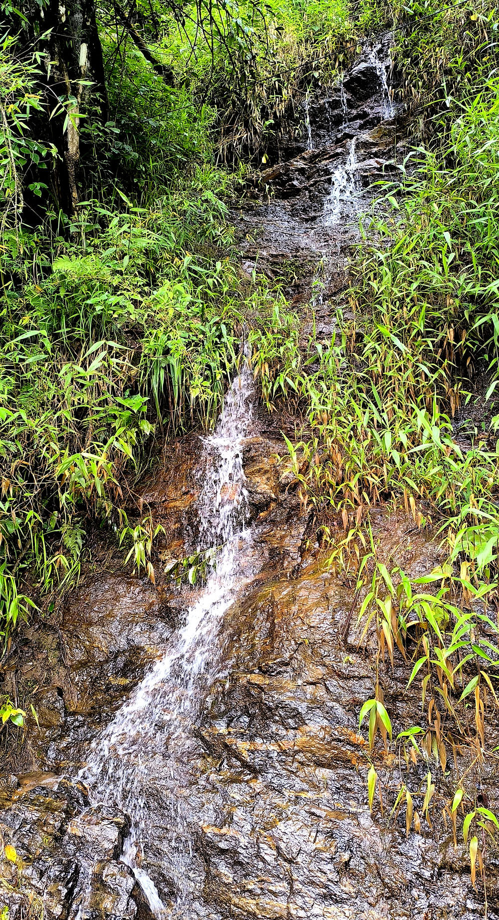 ರಸ್ತೆ ಬದಿಯಲ್ಲಿ ಕಾಣಸಿಗುವ ಪುಟ್ಟ ಜಲಪಾತ