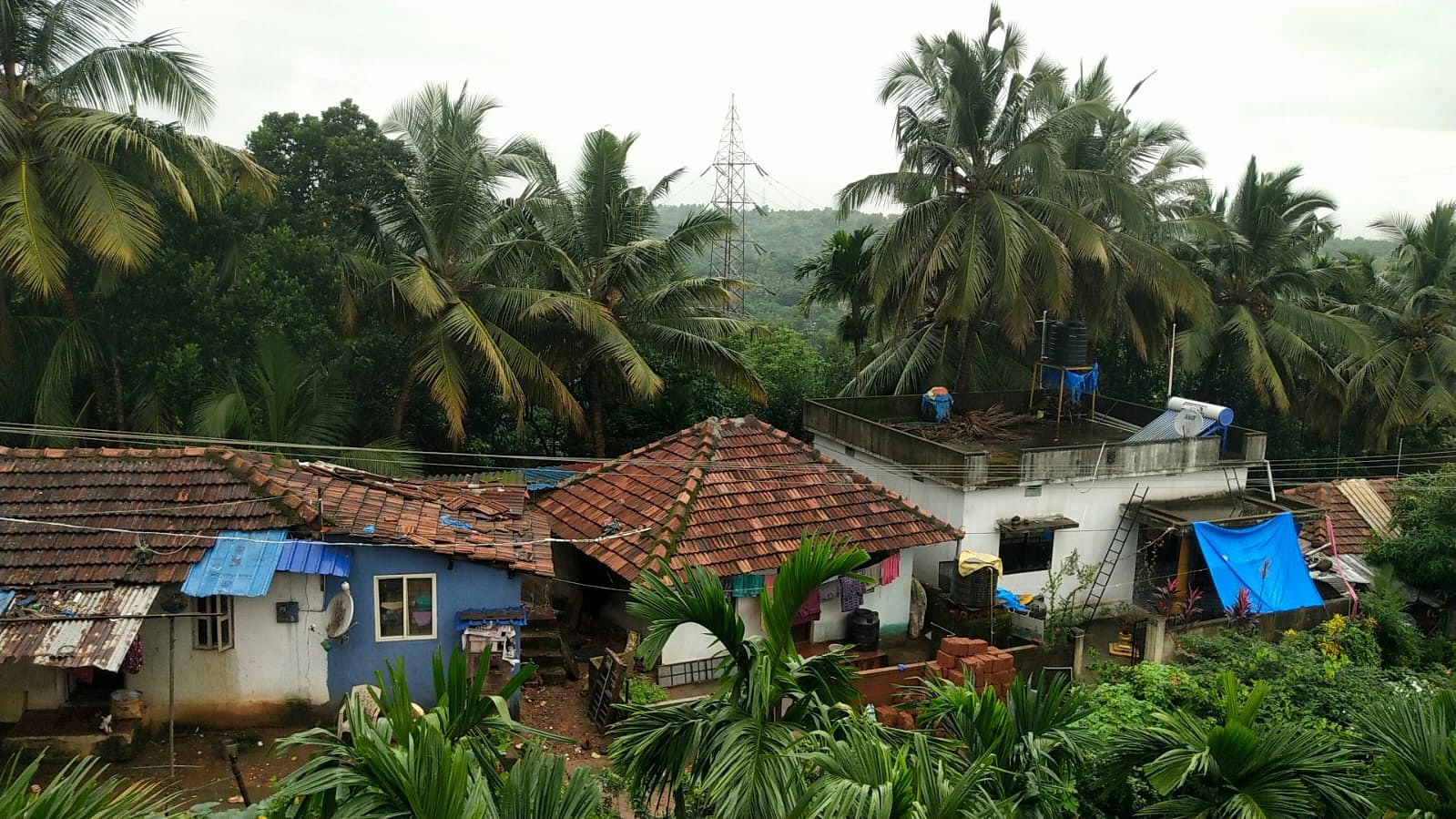 ಒಡ್ಡಿದಕಲ ಕಾಲೊನಿ