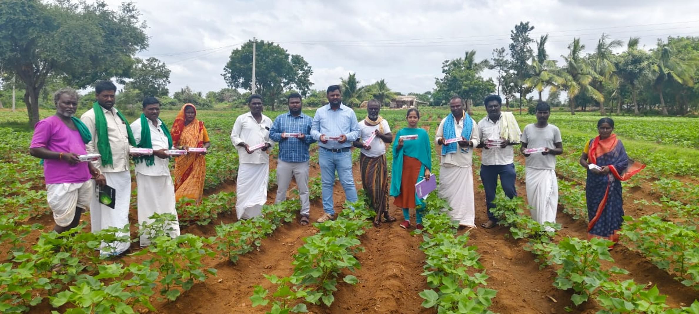 ಗಂಗಾವತಿ ತಾಲ್ಲೂಕಿನ ಗುಡದೂರು ಗ್ರಾಮದ ರೈತ ನಾಗಪ್ಪ ಅವರ 1ಎಕರೆ ಹತ್ತಿ ಬೆಳೆಯಲ್ಲಿ ಬುಧವಾರ ಕೃಷಿ ವಿಜ್ಞಾನ ಕೇಂದ್ರದಿಂದ ಗುಲಾಬಿ ಕಾಯಿಕೊರಕ ನಿರ್ವಹಣೆ ಬಗ್ಗೆ ಪ್ರಾತ್ಯಕ್ಷಿಕೆ ನಡೆಸಲಾಯಿತು 