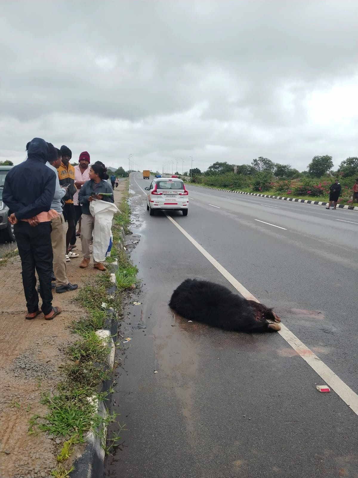 ತಮಟಕಲ್ಲು ಬಳಿ ರಾಷ್ಟ್ರೀಯ ಹೆದ್ದಾರಿಯಲ್ಲಿ ಚಿರತೆ ಮೃತಪಟ್ಟಿರುವುದು