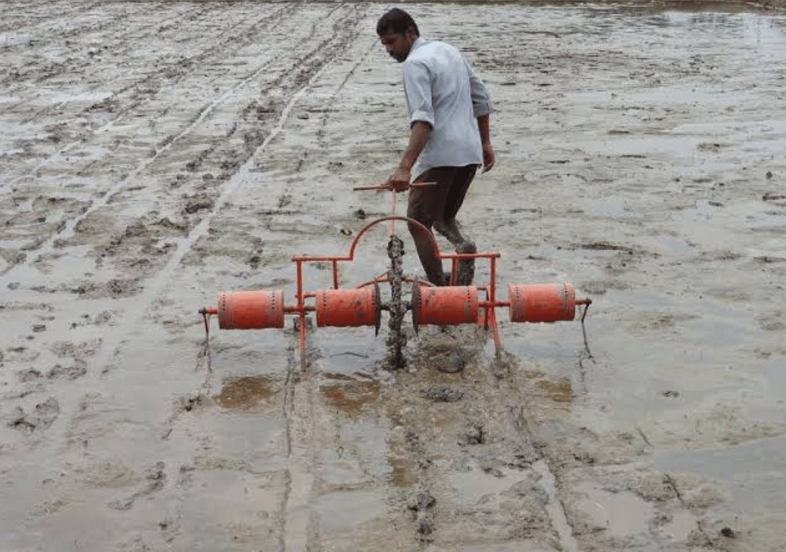 ಮಳೆ ಬಿಡುವು ನೀಡಿದ ಕಾರಣ ಯಂತ್ರದ ಮೂಲಕ ಗದ್ದೆ ಕೆಲಸ ಮಾಡುತ್ತಿರುವ ಶಿರಸಿ ತಾಲ್ಲೂಕಿನ ಬನವಾಸಿ ಭಾಗದ ರೈತ