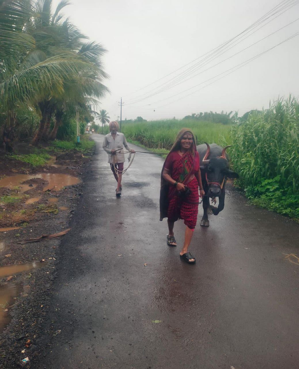 ಚಿಕ್ಕೋಡಿ ತಾಲ್ಲೂಕಿನ ಯಕ್ಸಂಬಾ ಪಟ್ಟಣದ ಹೊರ ವಲಯದಲ್ಲಿರುವ ತೋಟದ ವಸತಿ ಪ್ರದೇಶದಿಂದ ಜಾನುವಾರುಗಳೊಂದಿಗೆ ಸುರಕ್ಷಿತ ಸ್ಥಳಕ್ಕೆ ತೆರಳುತ್ತಿರುವ ಜನರು