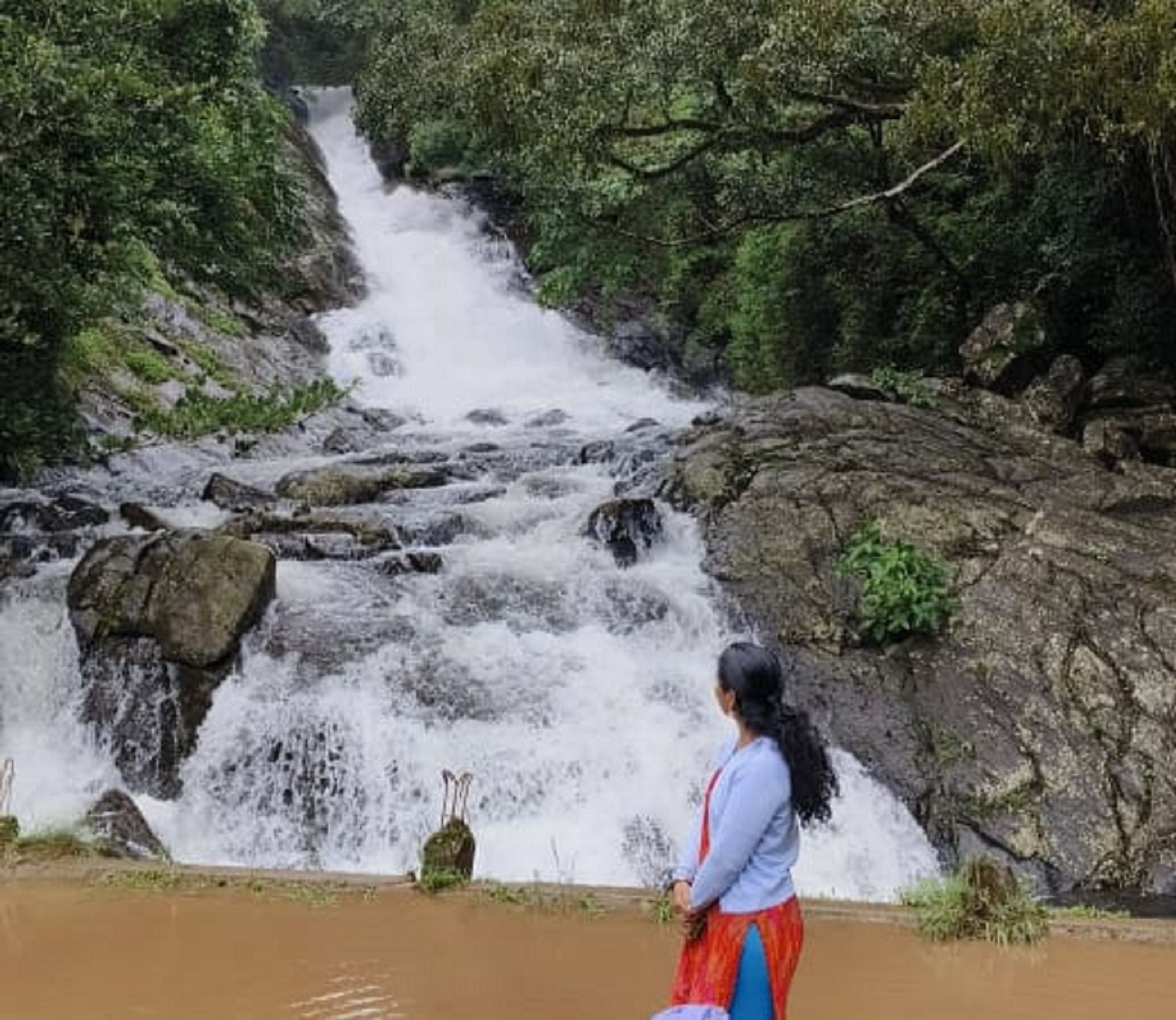 ಮಳೆಯಿಂದ ಜೀವಕಳೆ ಪಡೆದಿರುವ ಕೊಡಗು ಜಿಲ್ಲೆಯ ಸೋಮವಾರಪೇಟೆ ತಾಲ್ಲೂಕಿನ ಸೂರ್ಲಬ್ಬಿ ಸಮೀಪದ ಮೇದುರ ಜಲಪಾತ ಧುಮ್ಮಿಕ್ಕುತ್ತಿದೆ ಪ್ರಜಾವಾಣಿ ಚಿತ್ರ/ಡಿ.ಪಿ.ಲೋಕೇಶ್