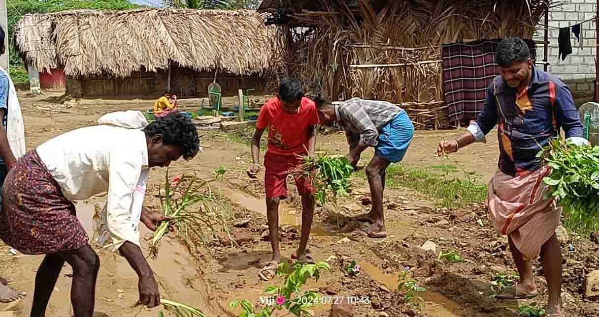 ಹಿರಿಯೂರು ತಾಲ್ಲೂಕಿನ ಸೂರಪ್ಪನಹಟ್ಟಿಯಲ್ಲಿ ಶನಿವಾರ ಗ್ರಾಮದ ರಸ್ತೆ ಹಾಗೂ ಚರಂಡಿ ಅವ್ಯವಸ್ಥೆ ಖಂಡಿಸಿ ಗ್ರಾಮಸ್ಥರು ಊರಿನ ರಸ್ತೆಯ ಕೆಸರಿನಲ್ಲಿ ಹೂವು, ತರಕಾರಿ, ಸೊಪ್ಪಿನ ಸಸಿ ನೆಟ್ಟು ಪ್ರತಿಭಟನೆ ನಡೆಸಿದರು.