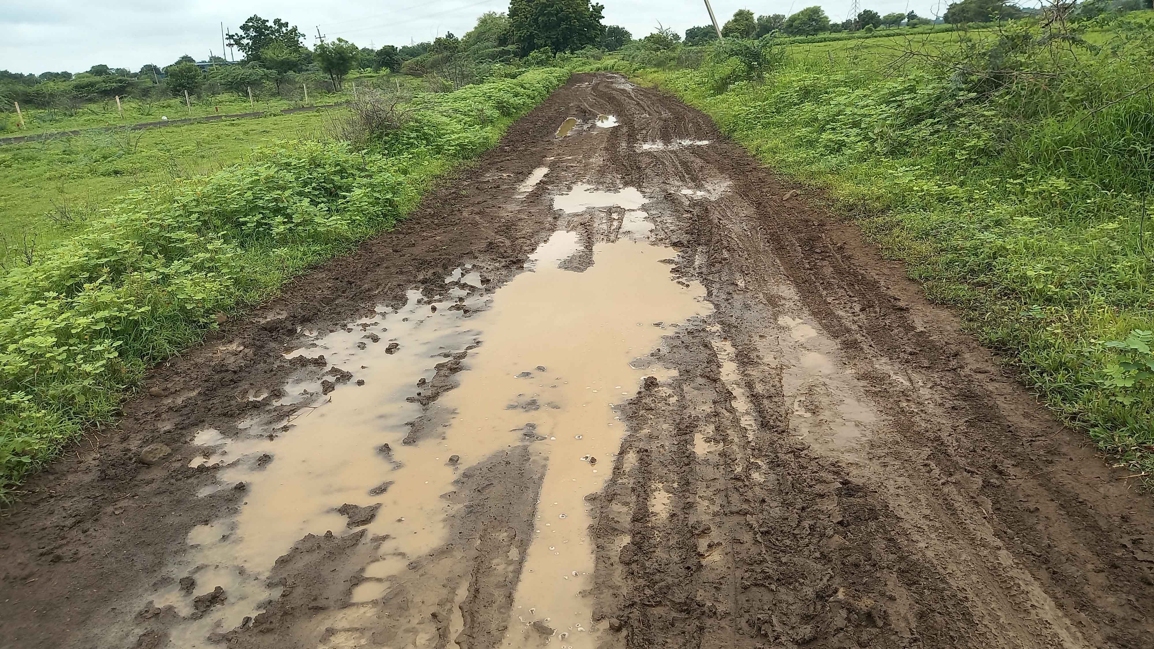 ಕಮಲಾಪುರ ತಾಲ್ಲೂಕಿನ ನವನಿಹಾಳ ಛತ್ರುನಾಯಕ ತಾಂಡಾದ ಹದಗೆಟ್ಟ ರಸ್ತೆ