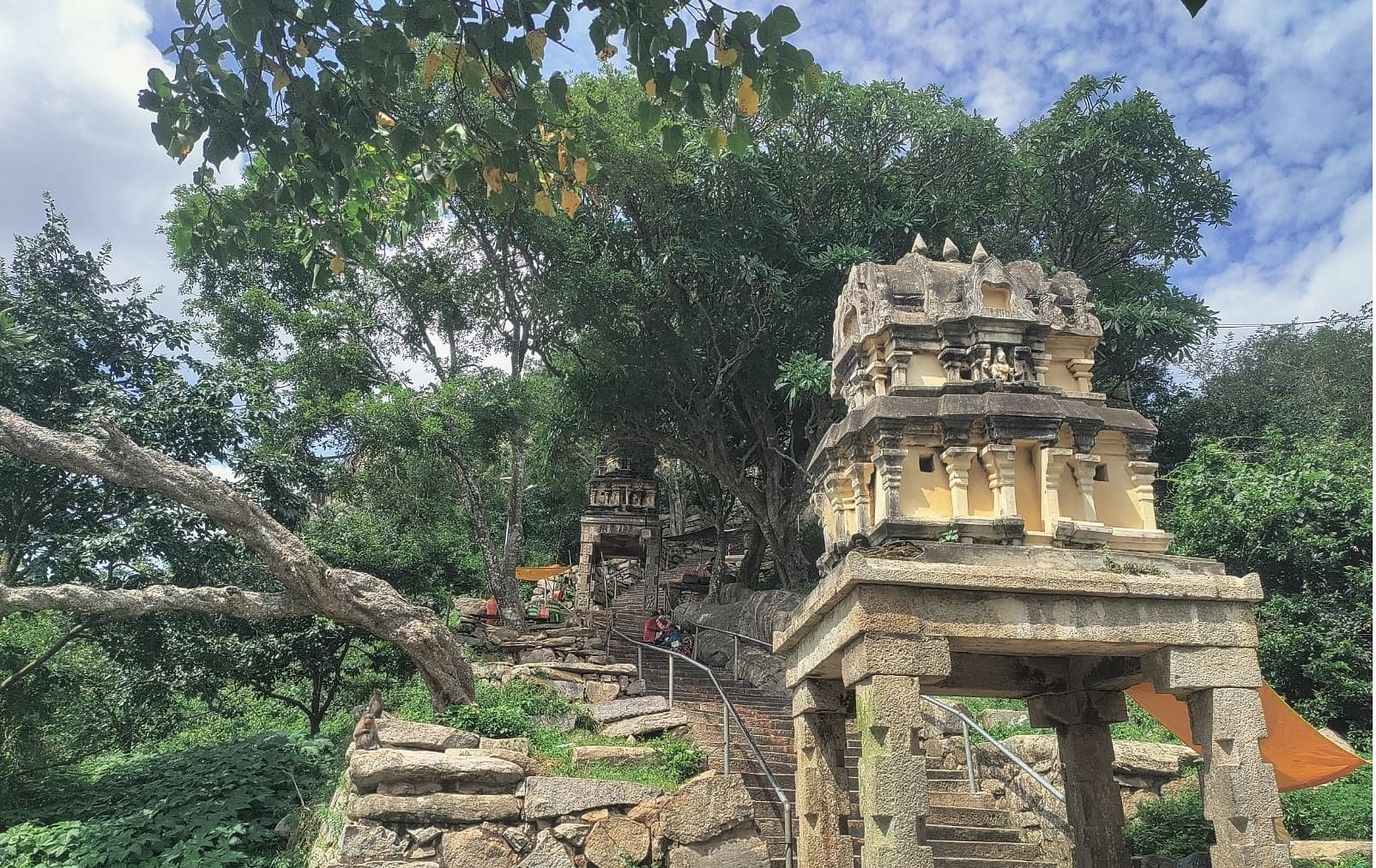 ಯೋಗಾನರಸಿಂಹ ಸ್ವಾಮಿ ಬೆಟ್ಟ