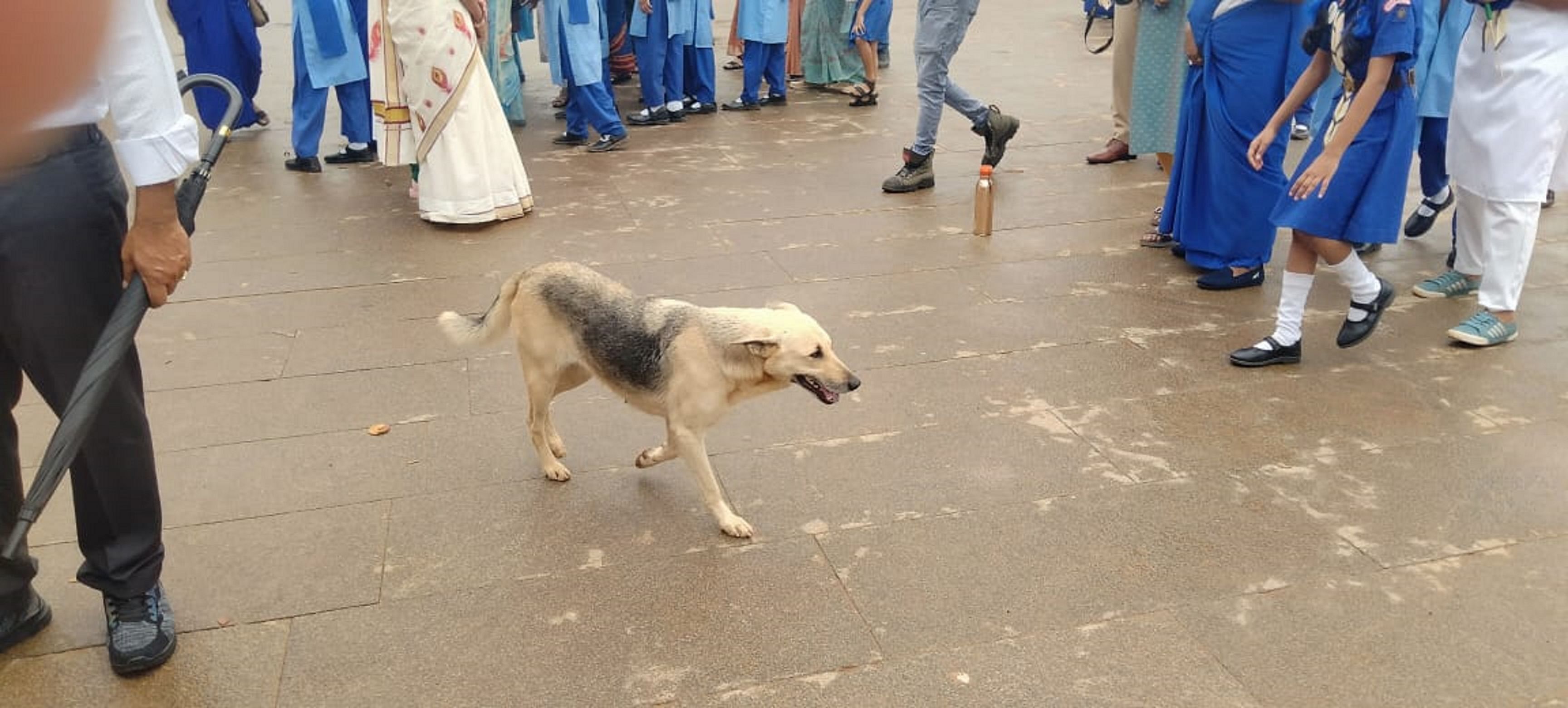 ಬಾಲಮಂದಿರದ ಮಕ್ಕಳ ಅಚ್ಚುಮೆಚ್ಚಿನ ‘ಟಾಮಿ’ ಎಂಬ ಶ್ವಾನವು ಮಡಿಕೇರಿ ಕೋಟೆ ಆವರಣದಲ್ಲಿ ಮಕ್ಕಳೊಂದಿಗೆ ಬಂದಿತ್ತು