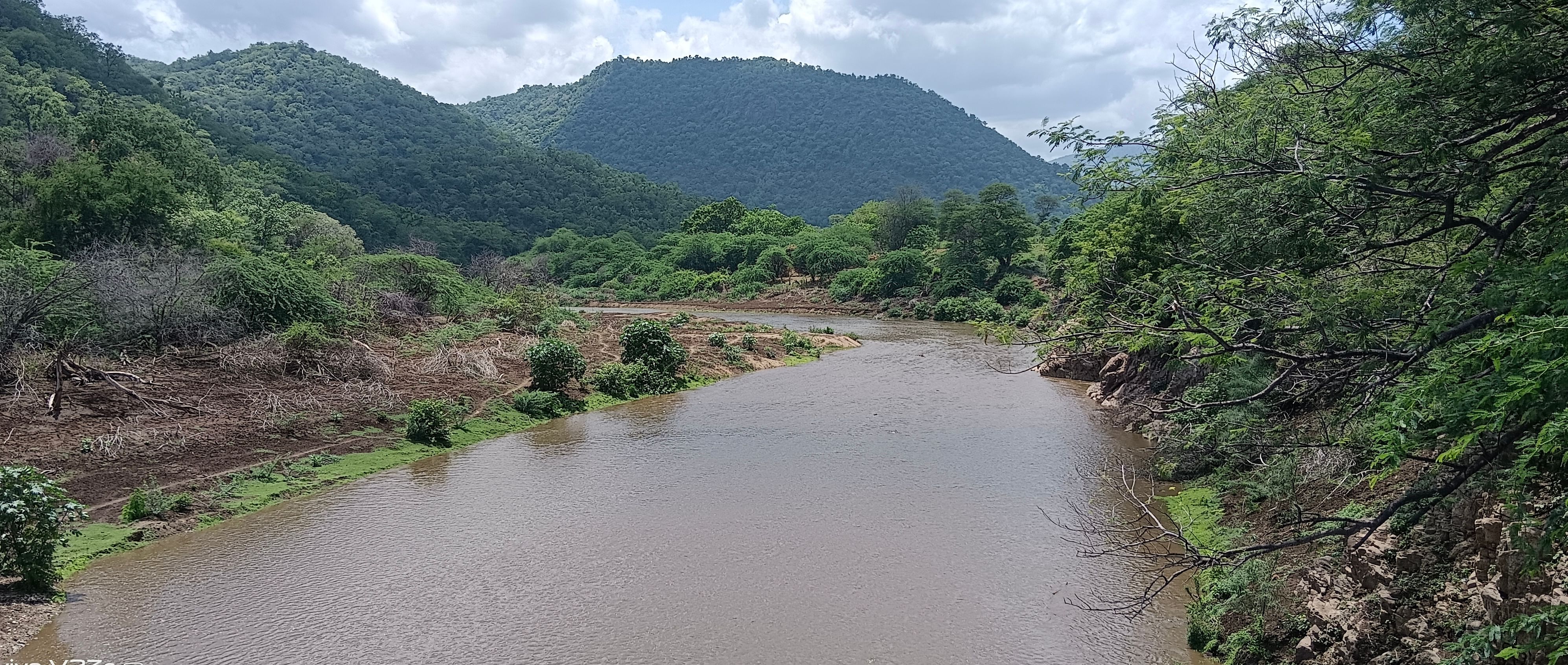 ಹನೂರು ತಾಲ್ಲೂಕಿನ ಅರಣ್ಯದ ಗಡಿ ಭಾಗದಲ್ಲಿ ಹರಿಯುವ ಪಾಲಾರ್ ನದಿ.