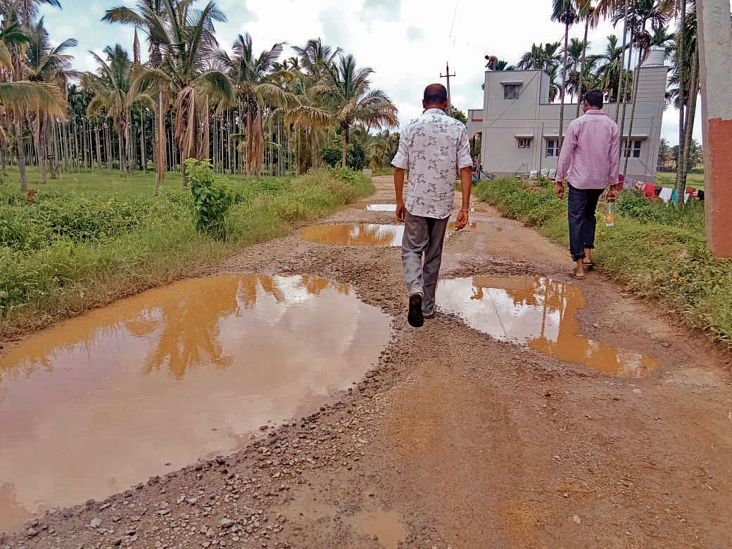 ಹಾಲೇನಹಳ್ಳಿ ಮಾರ್ಗವಾಗಿ ಸಾಗುವ ರಸ್ತೆಯ ತುಂಬೆಲ್ಲಾ ಗುಂಡಿಗಳು