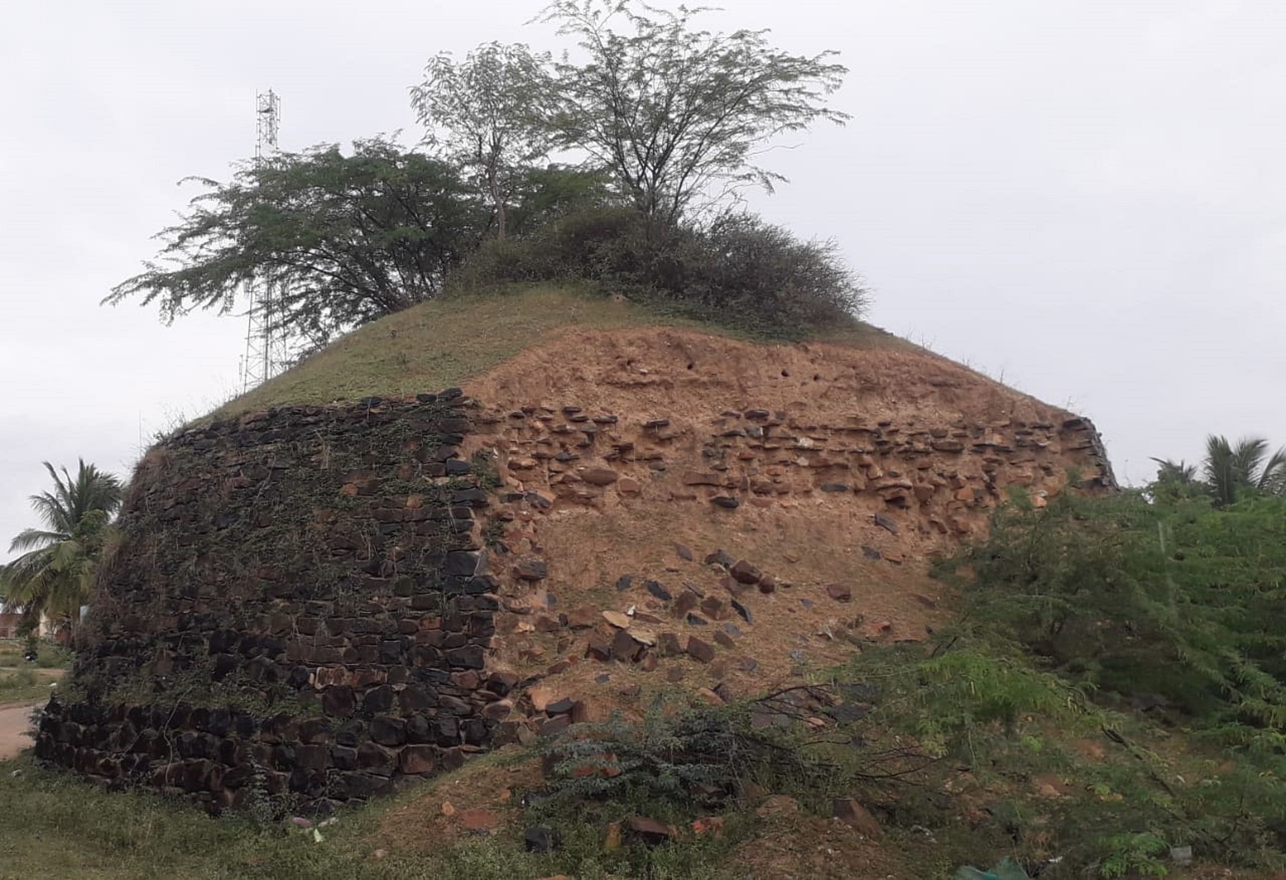 ಚಳ್ಳಕೆರೆ ತಾಲ್ಲೂಕಿನ ದೊಡ್ಡೇರಿ ಕೋಟೆ ಶಿಥಿಲಗೊಂಡಿರುವುದು