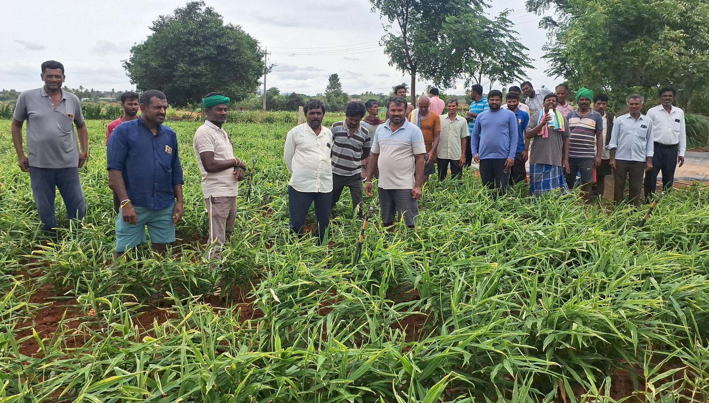 ಜಂಗಮಕೋಟೆ ಸುತ್ತಮುತ್ತಲಿನ ಪ್ರದೇಶದಲ್ಲಿ ಭೂಸ್ವಾಧೀನ ಪ್ರಕ್ರಿಯೆ ಖಂಡಿಸಿ ನಡಿಪಿನಾಯಕನಹಳ್ಳಿ ಗ್ರಾಮದ ರೈತರು ಜಿಲ್ಲಾ ಉಸ್ತುವಾರಿ ಸಚಿವರು ಭೇಟಿ ನೀಡಿ ವಾಸ್ತವಾಂಶ ತಿಳಿದು ರೈತರ ಪರ ನಿರ್ಧಾರ ತೆಗೆದುಕೊಳ್ಳಬೇಕು ಎಂದು ಒತ್ತಾಯಿಸಿದರು