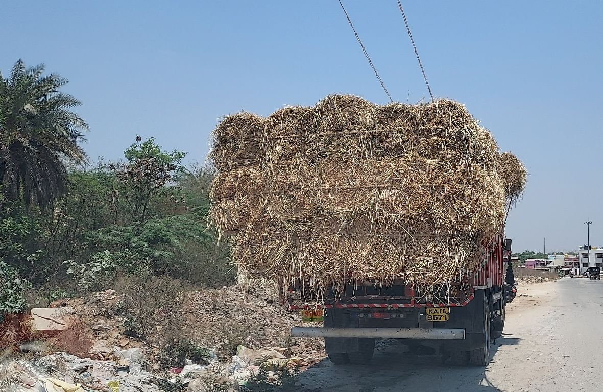 ಕೆಜಿಎಫ್ ನಗರದಲ್ಲಿ ತಮಿಳುನಾಡಿನ ತಂಜಾವೂರಿನಿಂದ ಲಾರಿಯಲ್ಲಿ ಸಾಗಿಸಲಾಗುತ್ತಿರುವ ತಂಜಾವೂರು ಹುಲ್ಲು