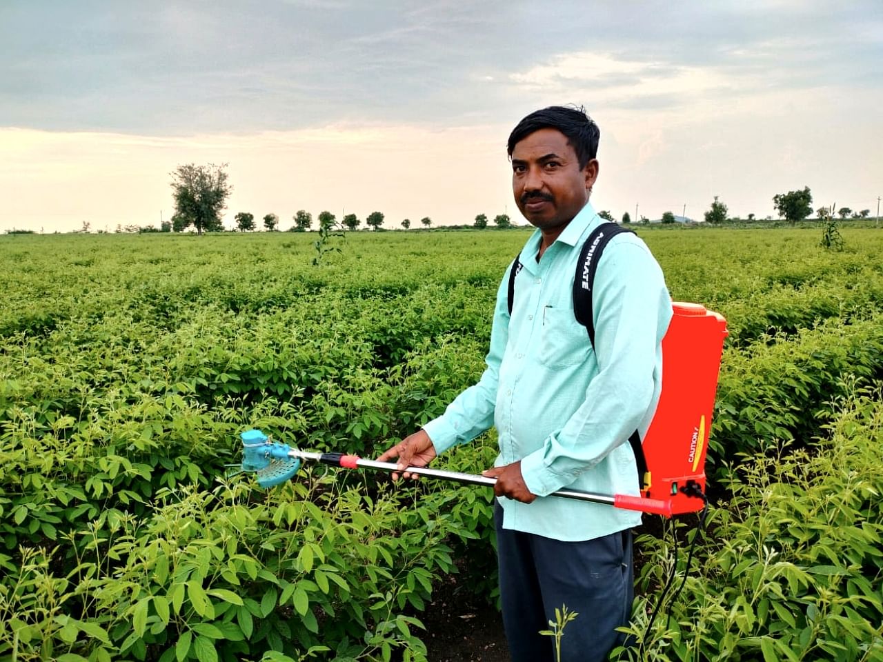 ತೊಗರಿ ಬೆಳೆಯಲ್ಲಿ ಕುಡಿ ಚಿವುಟುವ ಯಂತ್ರದ ಮೊರೆ ಹೋದ ರೈತ ಚಂದ್ರು ಹಂಪನಗೌಡ್ರ