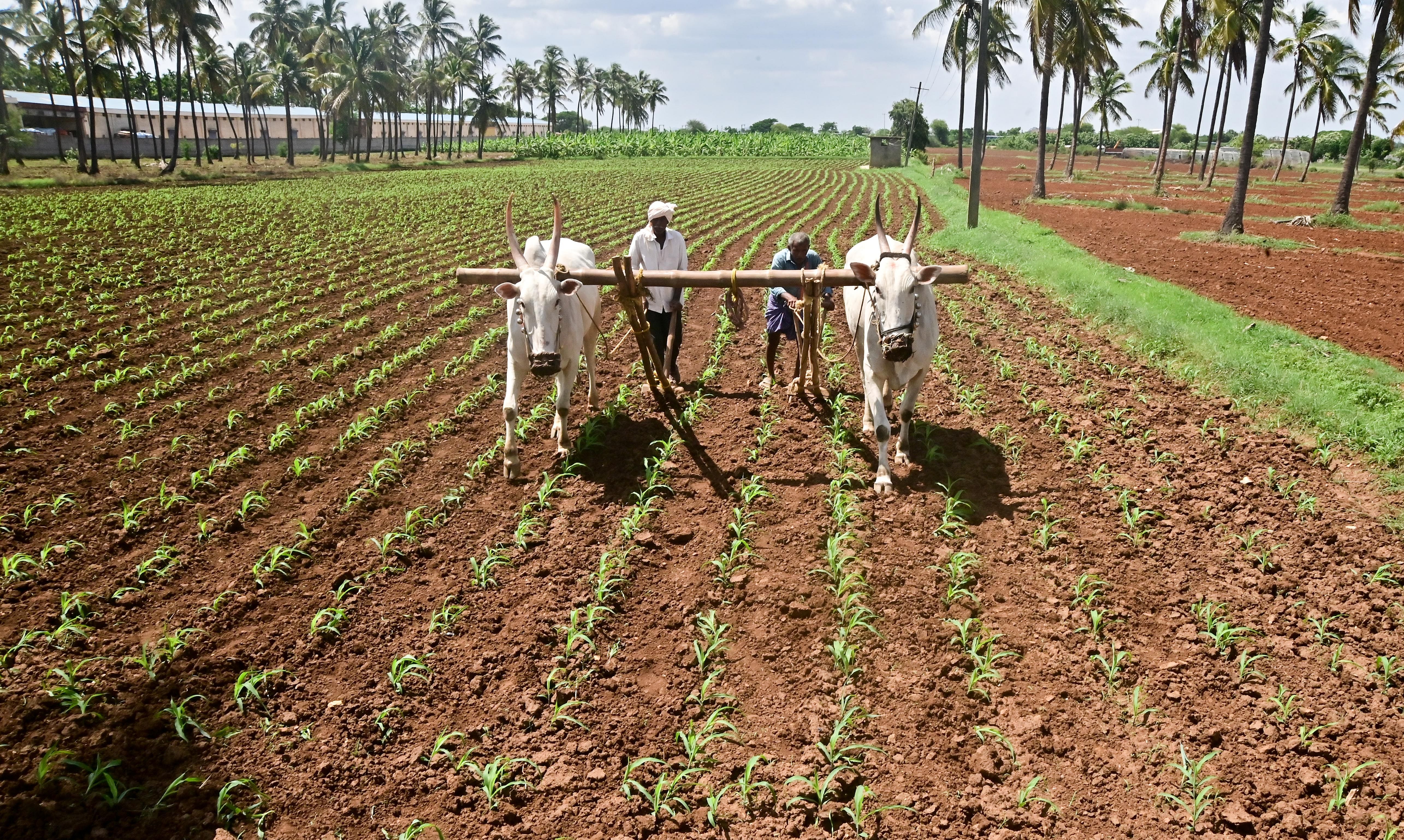 ಸಾಂದರ್ಭಿಕ ಚಿತ್ರ