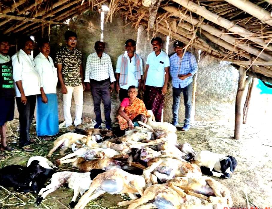 ಪುರವರ ಹೋಬಳಿಯ ದೊಡ್ಡಹೊಸಹಳ್ಳಿ ಗ್ರಾಮಕ್ಕೆ ಮಂಗಳವಾರ ವಲಯ ಅರಣ್ಯಾಧಿಕಾರಿ ಎಚ್.ಎಮ್. ಸುರೇಶ್ ಹಾಗೂ ಪಶು ಇಲಾಖೆಯ ಸಹಾಯಕ ನಿರ್ದೇಶಕ ಡಾ. ಸಿದ್ದನಗೌಡ ಭೇಟಿ ನೀಡಿ ಪರಿಶೀಲಿಸಿದರು.