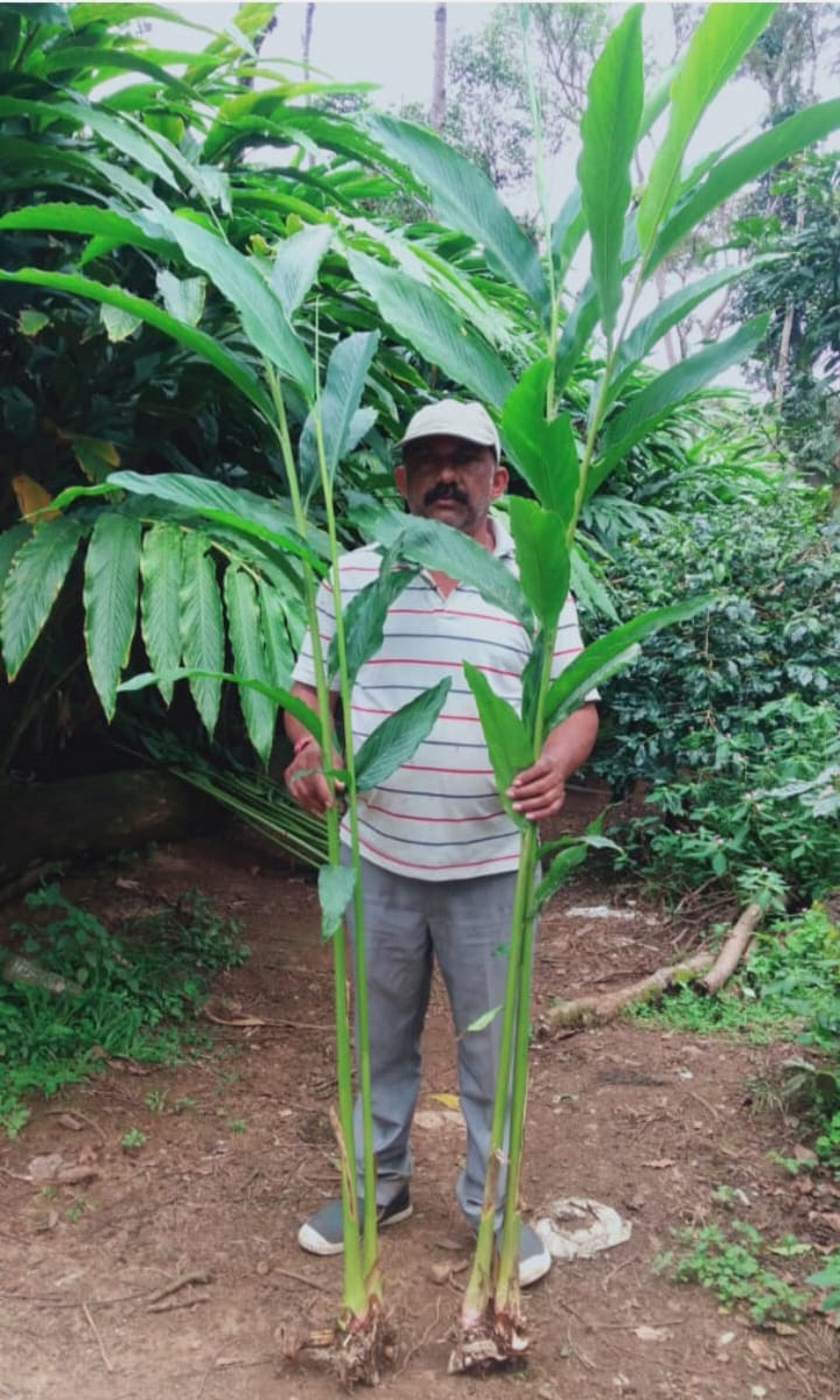 ಏಲಕ್ಕಿಯೊಂದಿಗೆ ಎನ್.ಟಿ.ಸುಬ್ಬಯ್ಯ