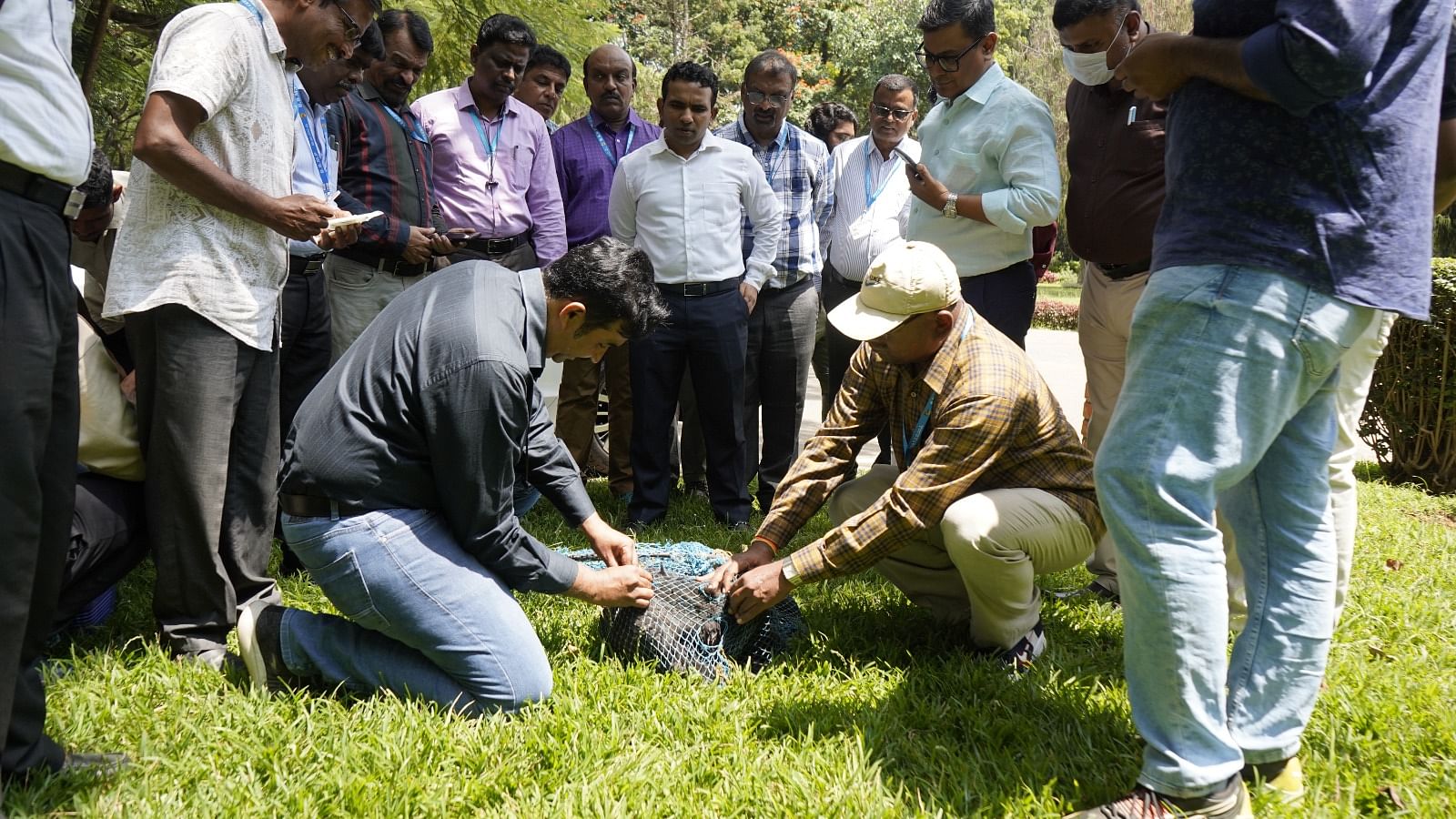 ಮಲ್ಲೇಶ್ವರ ವ್ಯಾಪ್ತಿಯಲ್ಲಿ ಬಿಬಿಎಂಪಿ ವತಿಯಿಂದ ಬೀದಿ ನಾಯಿಗಳಿಗೆ ಪ್ರಾಯೋಗಿಕವಾಗಿ ಮೈಕ್ರೊ ಚಿಪ್‌ ಅಳವಡಿಸಲಾಯಿತು