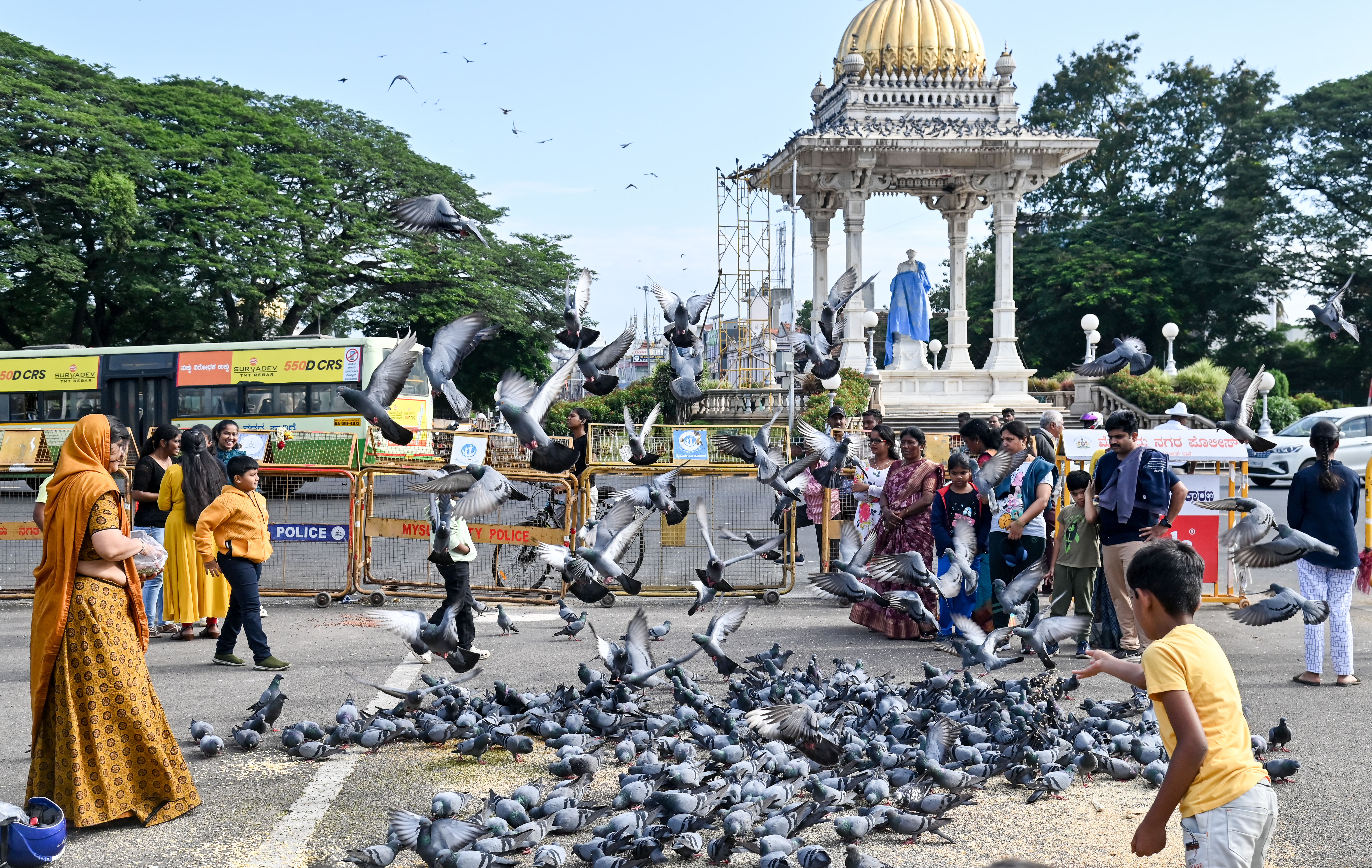 ಮೈಸೂರಿನ ಅಂಬವಿಲಾಸ ಅರಮನೆ ಆವರಣದ ಕೋಟೆ ಆಂಜನೇಯ ಸ್ವಾಮಿ ದೇವಸ್ಥಾನದ ಬಳಿ ಭಾನುವಾರ ಪಾರಿವಾಳಗಳಿಗೆ ಧಾನ್ಯ ಹಾಕುತ್ತಿದ್ದ ದೃಶ್ಯ - ಪ್ರಜಾವಾಣಿ ಚಿತ್ರ: ಅನೂಪ್‌ರಾಘ ಟಿ.