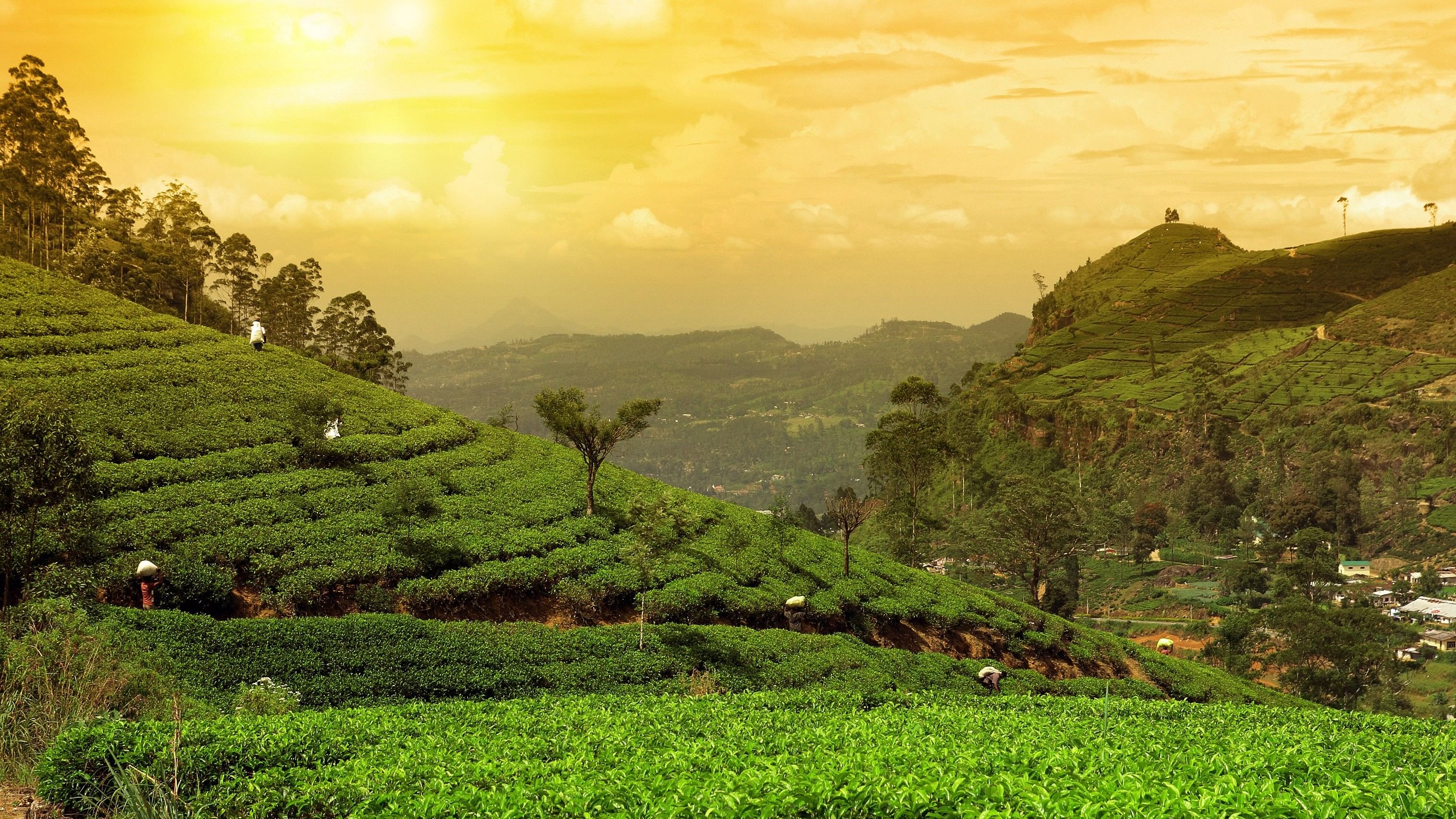 ಸಾಂಕೇತಿಕ ಚಿತ್ರ