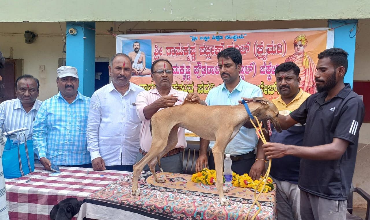 ರಾಯಬಾಗ ತಾಲ್ಲೂಕಿನ ಬೆಕ್ಕೇರಿಯಲ್ಲಿ ನಾಯಿಗೆ ಲಸಿಕೆ ಹಾಕುವ ಮೂಲಕ ರೇಬಿಸ್ ಲಸಿಕಾ ಅಭಿಯಾನಕ್ಕೆ ಮುಖ್ಯ ಪಶುವೈದ್ಯಾಧಿಕಾರಿ ಡಾ.ಎಂ.ಬಿ. ಪಾಟೀಲ ಚಾಲನೆ ನೀಡಿದರು