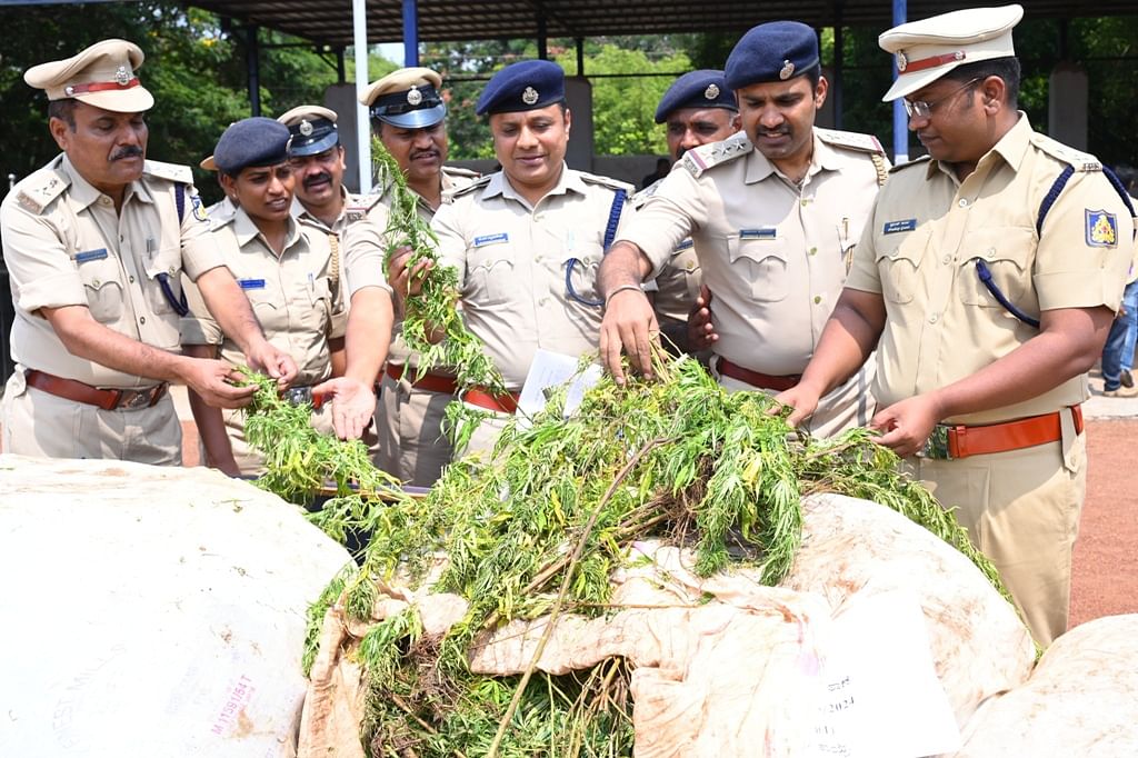 ಬೀದರ್‌ನಲ್ಲಿ ಜಿಲ್ಲಾ ಪೊಲೀಸ್ ವರಿಷ್ಠಾಧಿಕಾರಿ ಪ್ರದೀಪ್ ಗುಂಟಿ ಅವರು ಬಸವಕಲ್ಯಾಣ ತಾಲ್ಲೂಕಿನ ಉಜಳಂಬದಲ್ಲಿ ವಶಪಡಿಸಿಕೊಳ್ಳಲಾದ ಗಾಂಜಾ ಗಿಡಗಳನ್ನು ಪರಿಶೀಲಿಸಿದರು