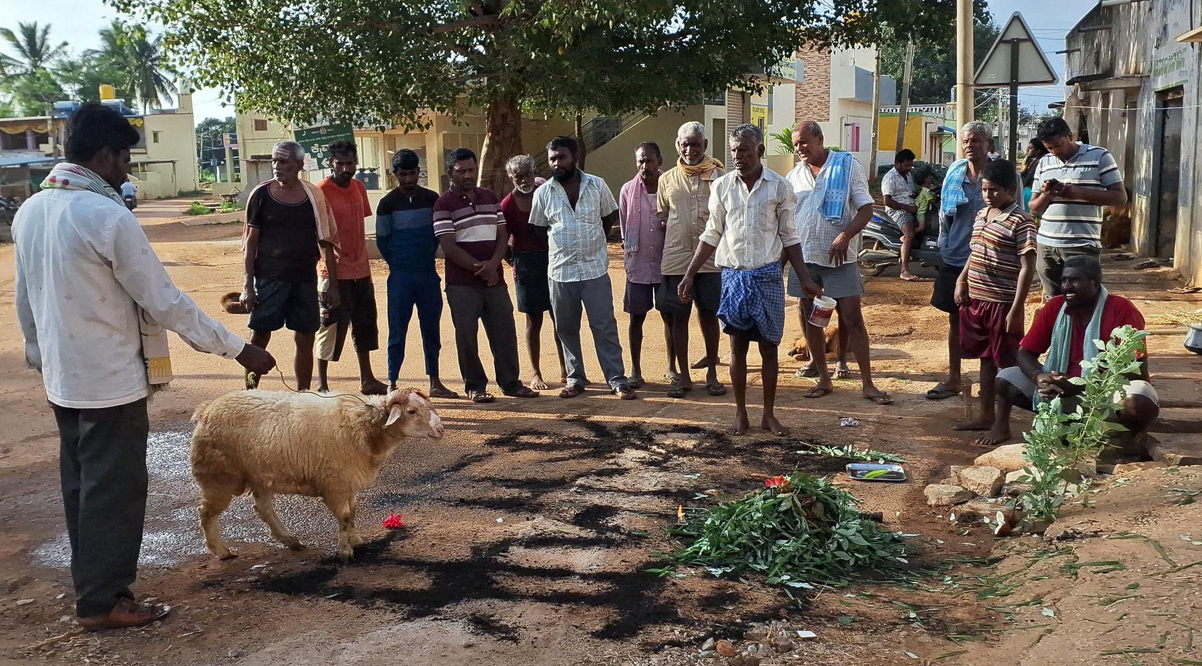 ಶಿಡ್ಲಘಟ್ಟ ತಾಲ್ಲೂಕಿನ ಕೆ.ಮುತ್ತುಕದಹಳ್ಳಿ ಗ್ರಾಮದಲ್ಲಿ ಮಳೆರಾಯನ ಪೂಜೆಯ ಒಂದು ವಿಧವಾದ ಅತ್ತೆಮಳೆ ಹೊಂಗಲು ಪೂಜೆಯನ್ನು ಗ್ರಾಮಸ್ಥರೆಲ್ಲಾ ಸೇರಿ ವಿಶೇಷವಾಗಿ ಆಚರಿಸಿದರು