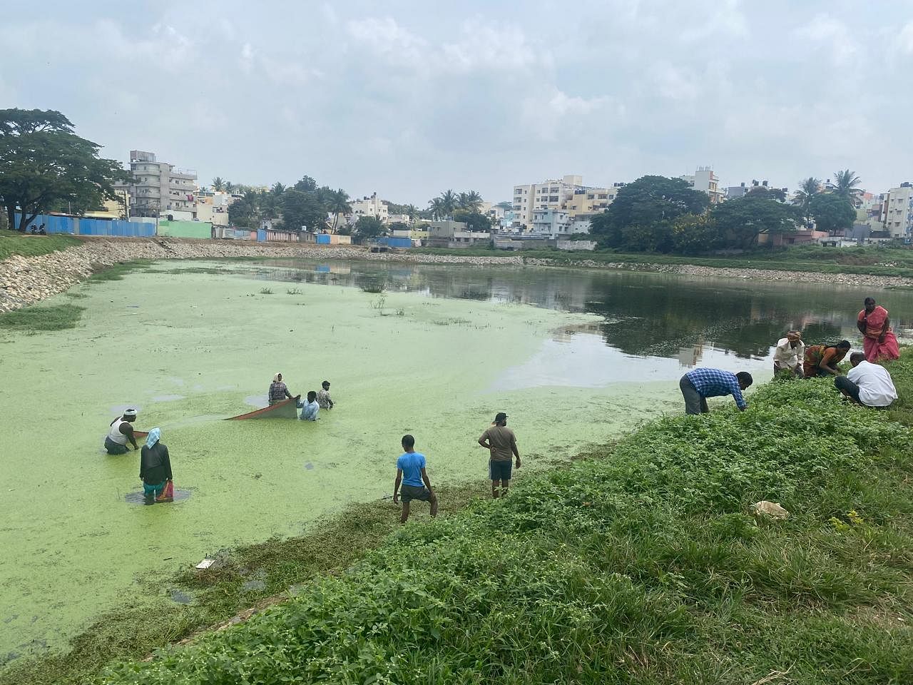 ಉಲ್ಲಾಳು ಕೆರೆಯಲ್ಲಿ ಬಿಬಿಎಂಪಿ ಸಿಬ್ಬಂದಿ ಮಂಗಳವಾರ ಸ್ವಚ್ಛತಾ ಕಾರ್ಯ ನಡೆಸಿದರು