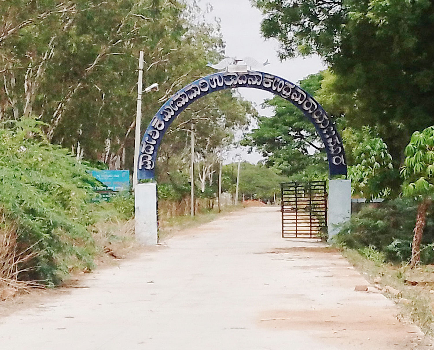 ನಾರಾಯಣಪುರ ಮೀನುಮರಿ ಪಾಲನಾ ಕೇಂದ್ರ 