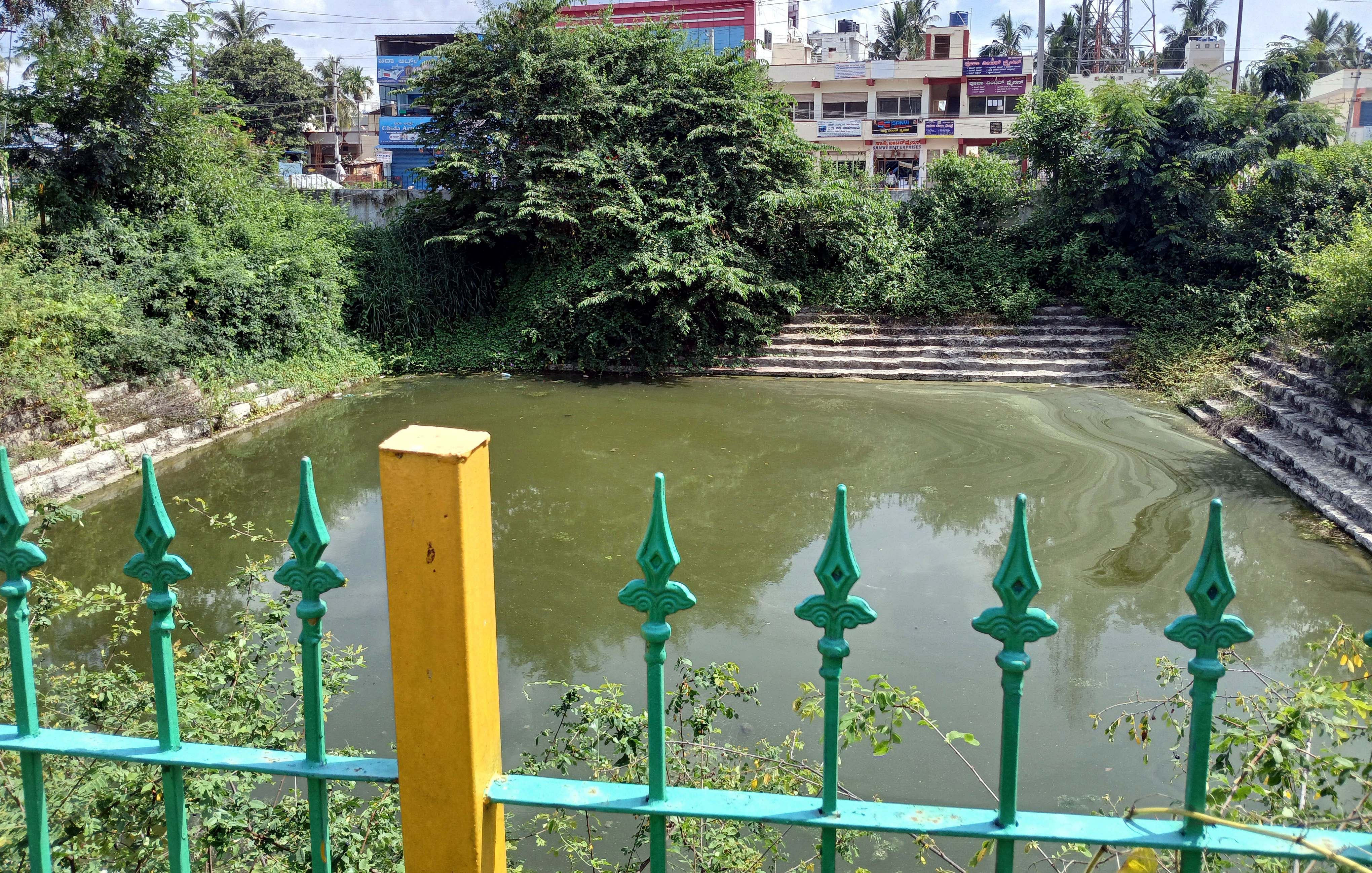 ಗಿಡಗಂಟಿ, ಪೊದೆ ಬೆಳೆದಿರುವ ಚನ್ನಪಟ್ಟಣದ ಮಂಗಳವಾರಪೇಟೆ ಬಳಿಯ ಗುರುಶೆಟ್ಟಿ ಕೊಳ