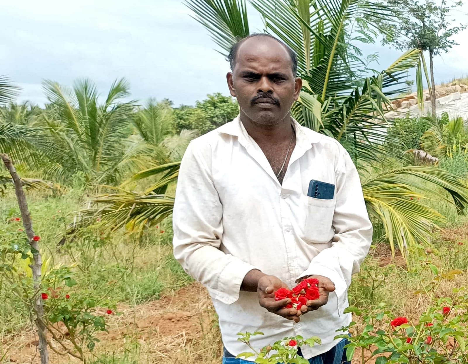 ತುರುವೇಕೆರೆ ತಾಲ್ಲೂಕಿನ ಬಾಣಸಂದ್ರ ಗ್ರಾಮ ಪಂಚಾಯಿತಿ ವ್ಯಾಪ್ತಿಯ ದೇವರ ಹಟ್ಟಿ ಗ್ರಾಮದ ರೈತ ತಿಮ್ಮಯ್ಯ ಡಿ.ಎಸ್ ತಾನು ಬೆಳೆ ಗುಲಾಬಿ ಹೂವಿನೊಂದಿಗೆ.