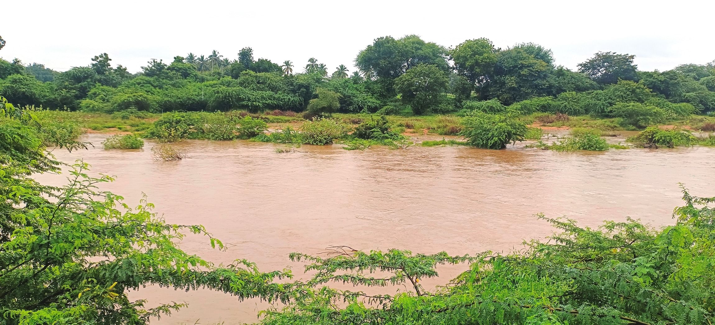 ಕೊಡಿಗೇನಹಳ್ಳಿ ಬಳಿ ಹರಿಯುತ್ತಿರುವ ಜಯಮಂಗಲಿ ನದಿ