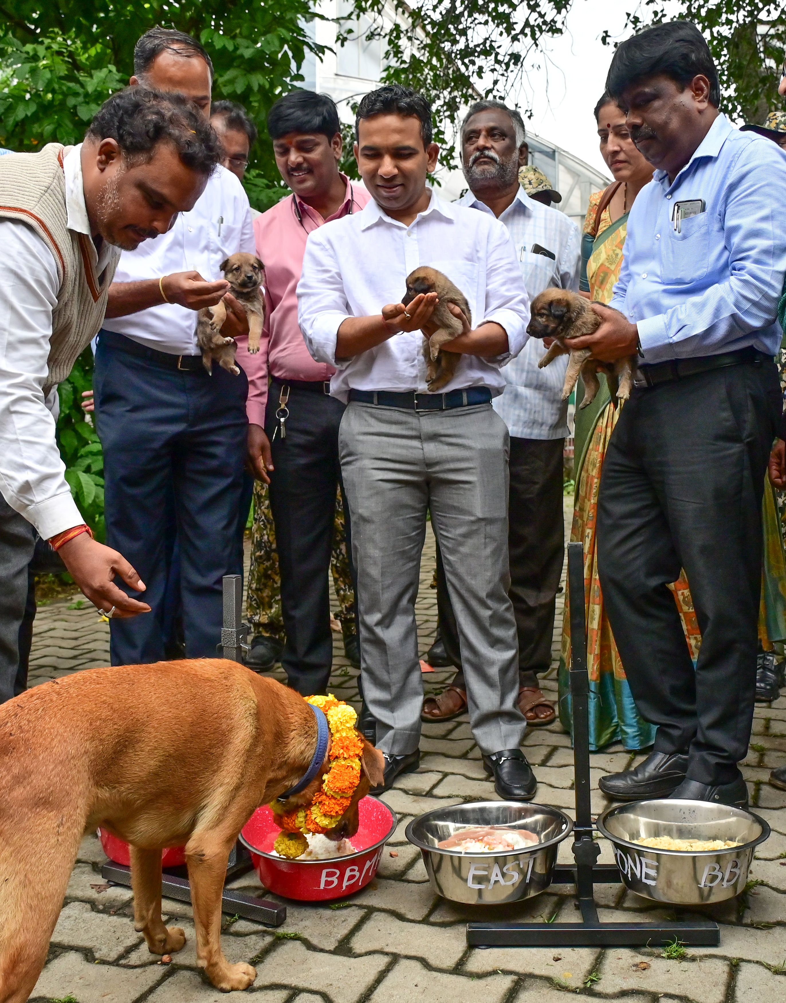 ಬಿಬಿಎಂಪಿ ಕೇಂದ್ರ ಕಚೇರಿಯಲ್ಲಿ ಗುರುವಾರ ಆಯೋಜಿಸಿದ್ದ ‘ಶ್ವಾನ ಮಹೋತ್ಸವ’ದಲ್ಲಿ ಪಶುಸಂಗೋಪನೆ ವಿಭಾಗದ ವಿಶೇಷ ಆಯುಕ್ತ  ಸುರಳ್ಕರ್ ವಿಕಾಸ್ ಕಿಶೋರ್ ಹಾಗೂ ಸಿಬ್ಬಂದಿ ನಾಯಿಗಳಿಗೆ ಆಹಾರ ನೀಡಿದರು