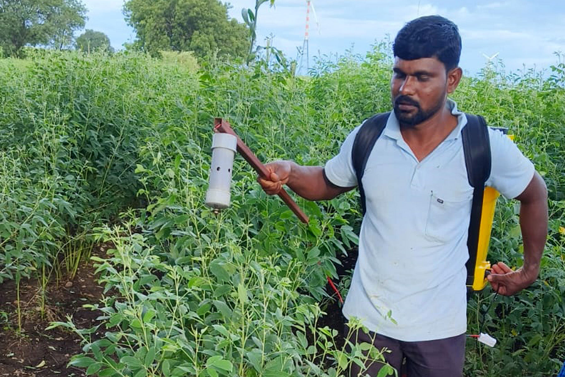 ಕೃಷಿ ಚಿವುಟುವ ಯಂತ್ರ ತಯಾರಿಸಿ, ಬಳಸುತ್ತಿರುವ ರಾಜಮಹಮ್ಮದ್‌ ನದಾಫ್