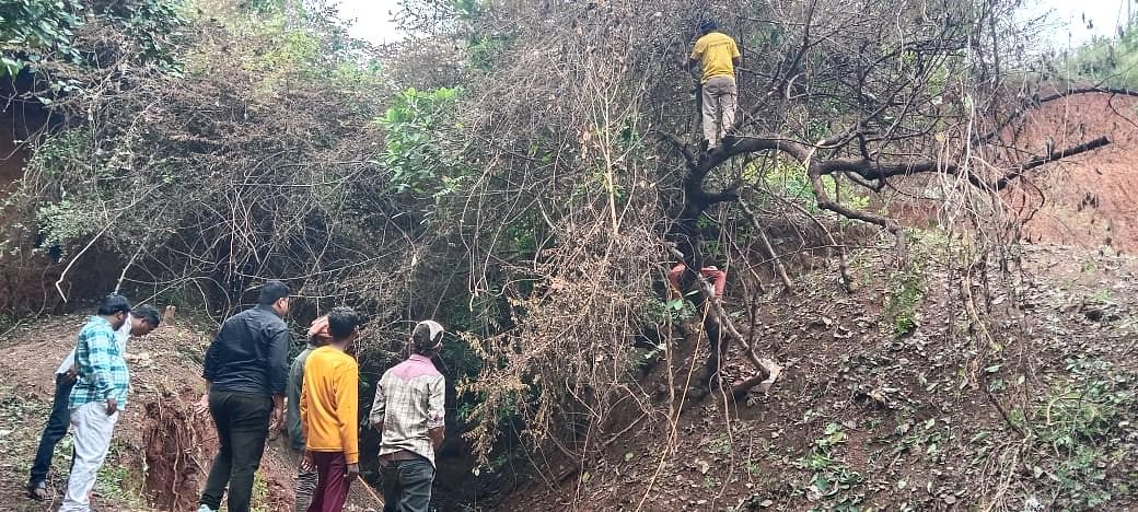 ಬೀದರ್‌ನ ಅಲಿಯಾಬಾದ್‌ ಸಮೀಪದ ‘ಕರೇಜ್‌’ ಸುತ್ತಮುತ್ತ ಬೆಳೆದಿರುವ ಪೊದೆ ತೆರವುಗೊಳಿಸುತ್ತಿರುವುದು