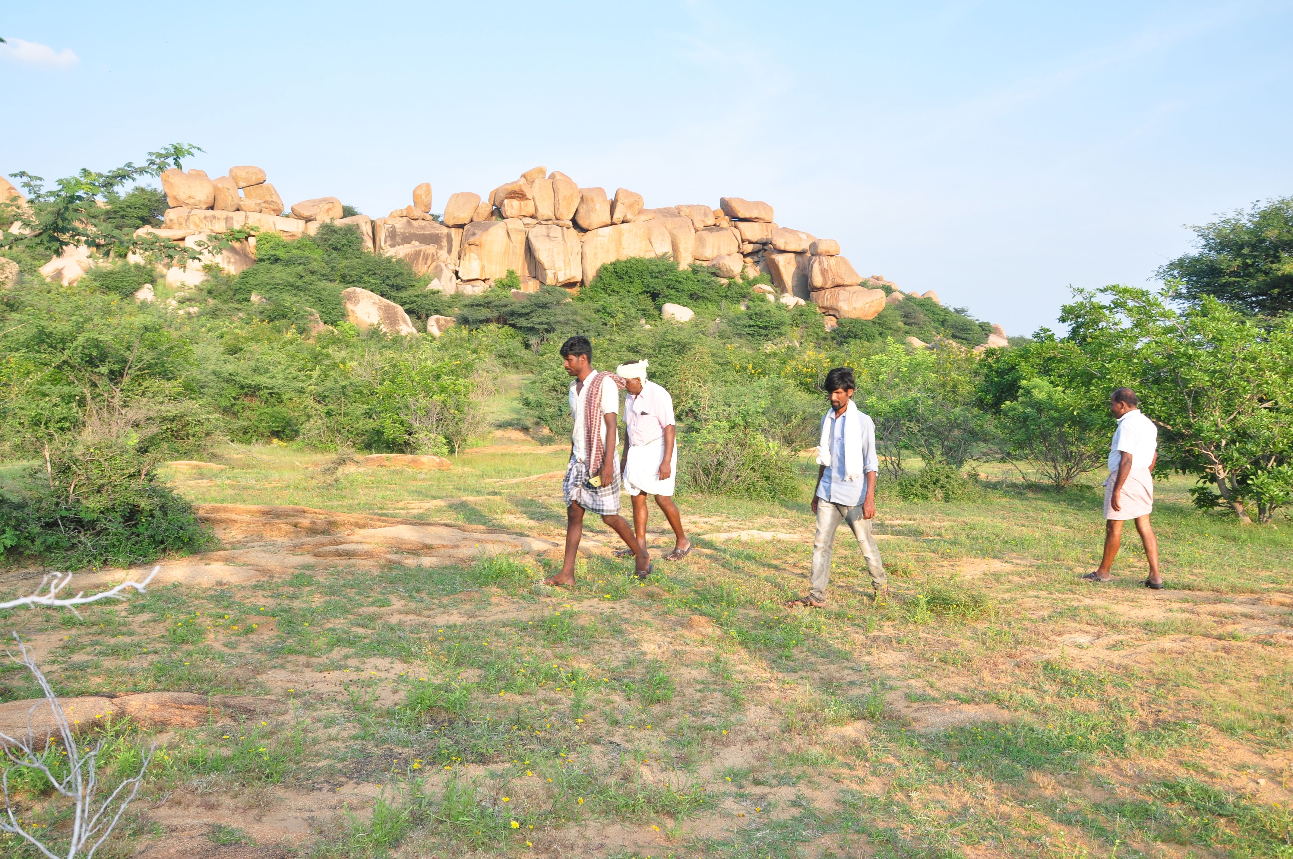 ಅಣಬೆ ಹುಡುಕಾಟದಲ್ಲಿ