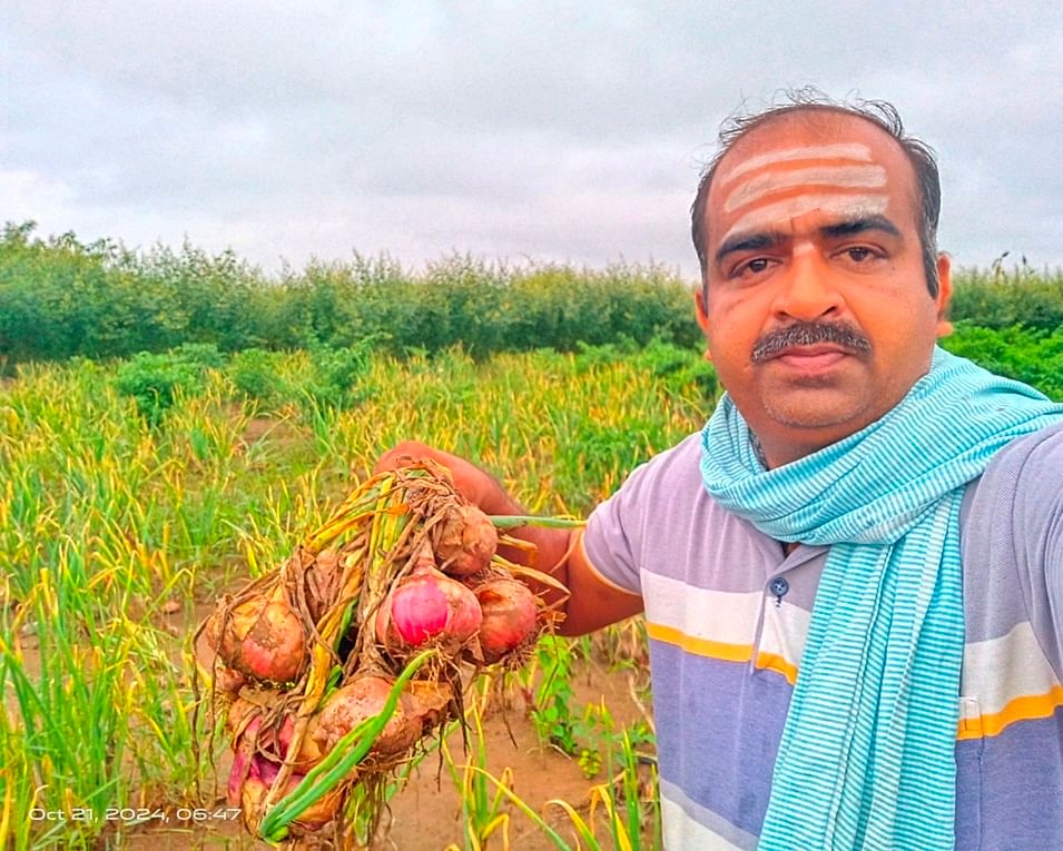 ಗುಳೇದಗುಡ್ಡ ತಾಲ್ಲೂಕಿನ ತೆಗ್ಗಿ ಗ್ರಾಮದಲ್ಲಿ ಮಳೆಗೆ ಕೊಳೆತಿರುವ ಈರುಳ್ಳಿ ಬೆಳೆ ತೋರಿಸಿದ ರೈತ ಚಂದ್ರಶೇಖರ ಕಾಳನ್ನವರ