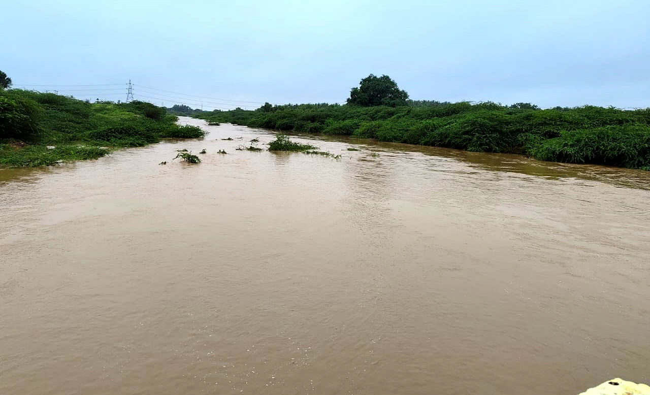 ಮೊಳಕಾಲ್ಮುರು ತಾಲ್ಲೂಕು ವ್ಯಾಪ್ತಿಯಲ್ಲಿ ತುಂಬಿ ಹರಿಯುತ್ತಿರುವ ಜಿನಗಿಹಳ್ಳ