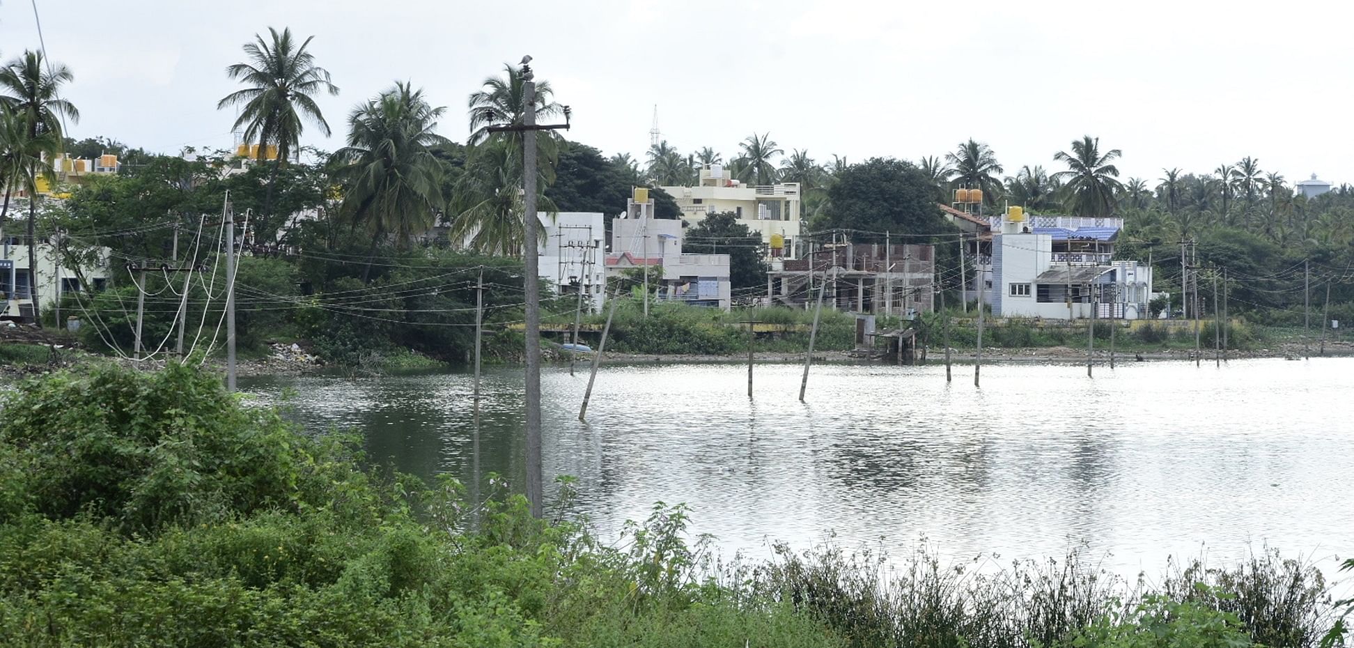 ಮುರುಘಾ ಮಠದ ಮುಂದಿನ ಅರಸನ ಕೆರೆಯೊಳಗೆ ವಿದ್ಯುತ್‌ ಕಂಬಗಳ ಸಾಲು ಹಾದು ಹೋಗಿರುವುದು